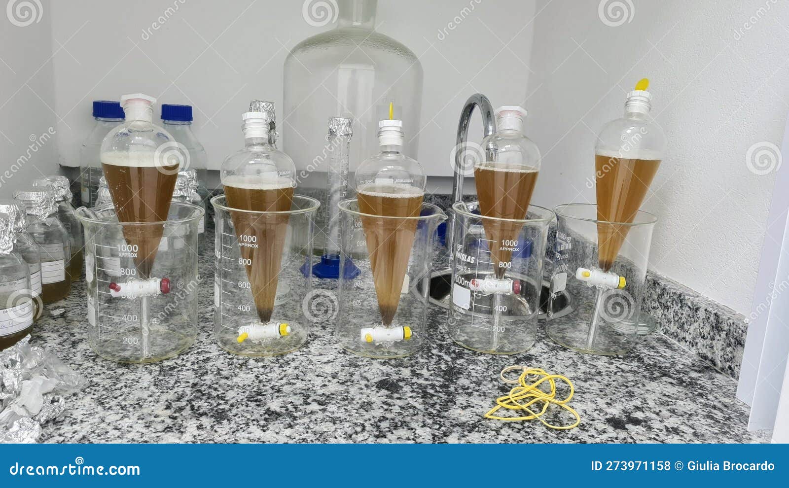 separation funnels with biological samples after being digested waiting for decantation. experiment realized in a laboratory