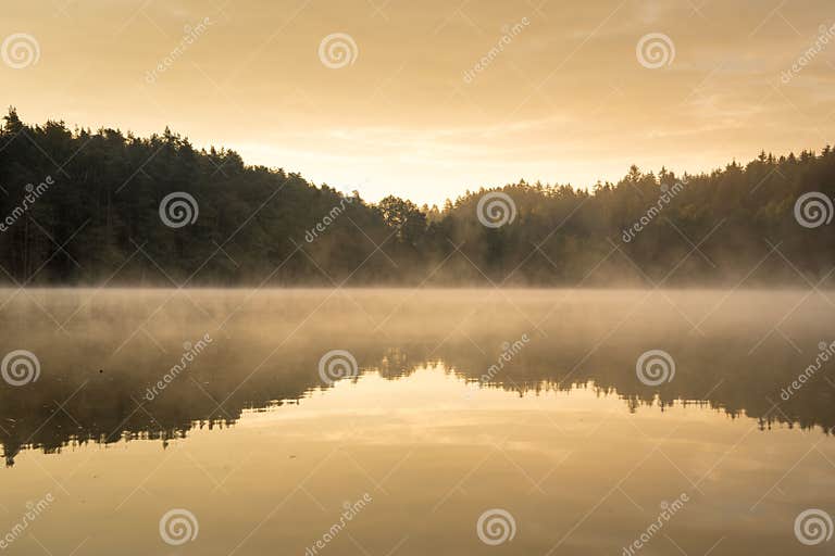 Sepia Tone Shot of a Forest Reflecting on the Surface of the Lake Stock ...