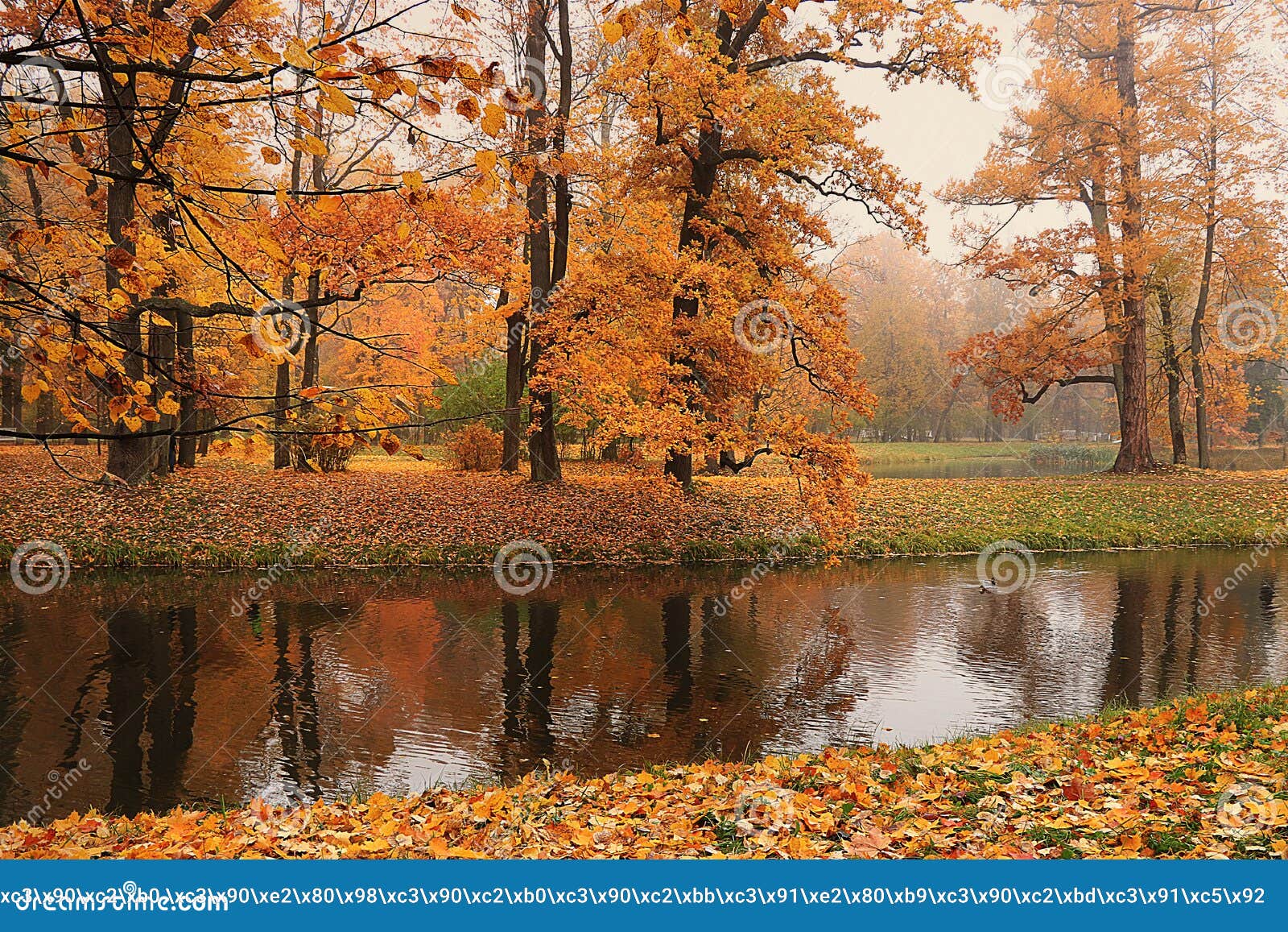 September Autumn Park in Russia, Lake with Red Leaves and Reflection in ...