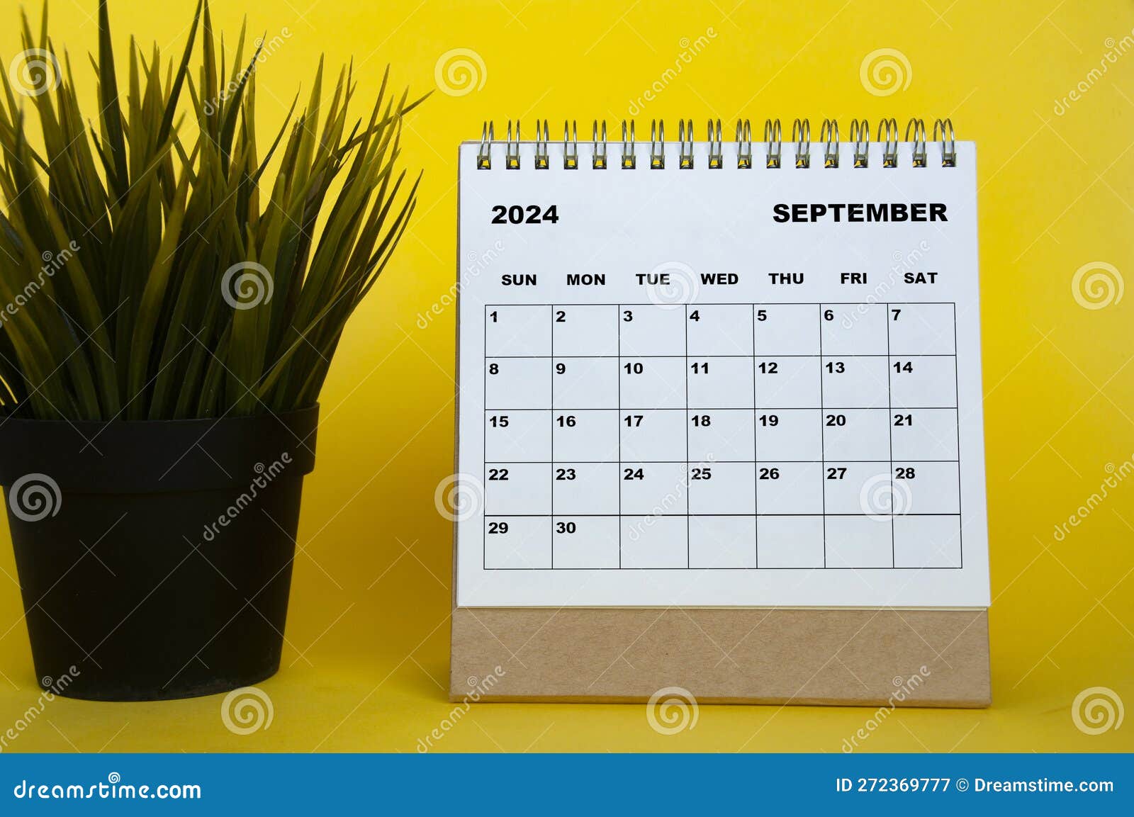 Septembre 2024 Mois Calendrier Avec Table Plant Sur Fond De Couverture  Jaune. Concept De Calendrier Mensuel Image stock - Image du publicité,  automne: 272369777