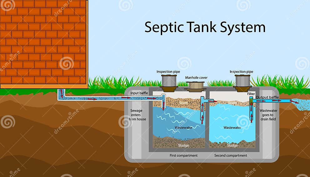 Septic Tank Diagram Septic System And Drain Field Scheme Stock Vector Septic Tank Diagram Septic System And Drain Field Scheme Stock Vector