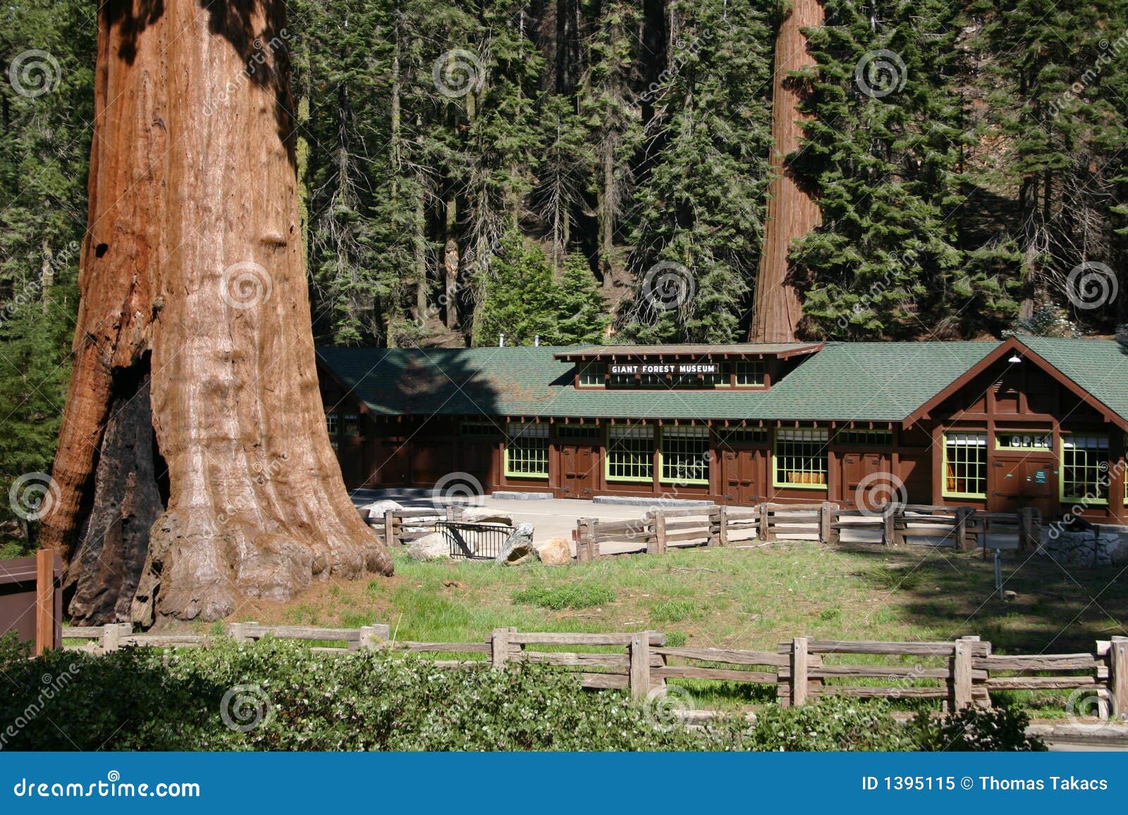 sequoia museum
