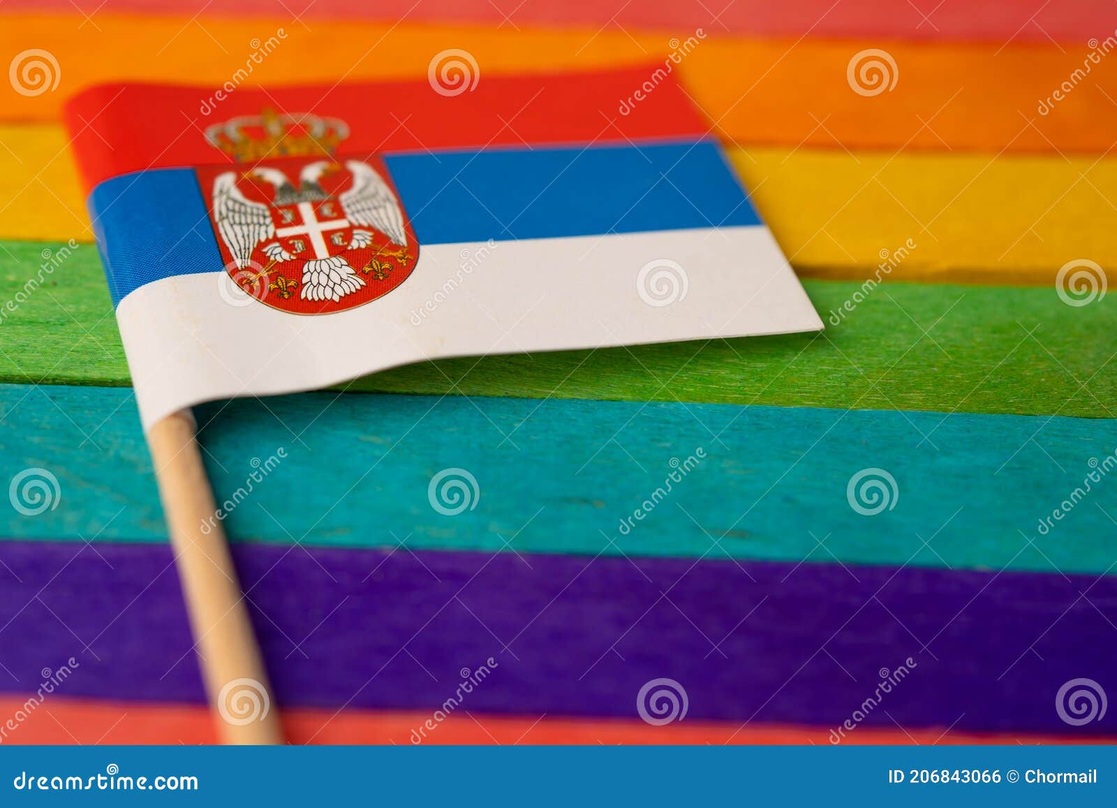 Gay srbija