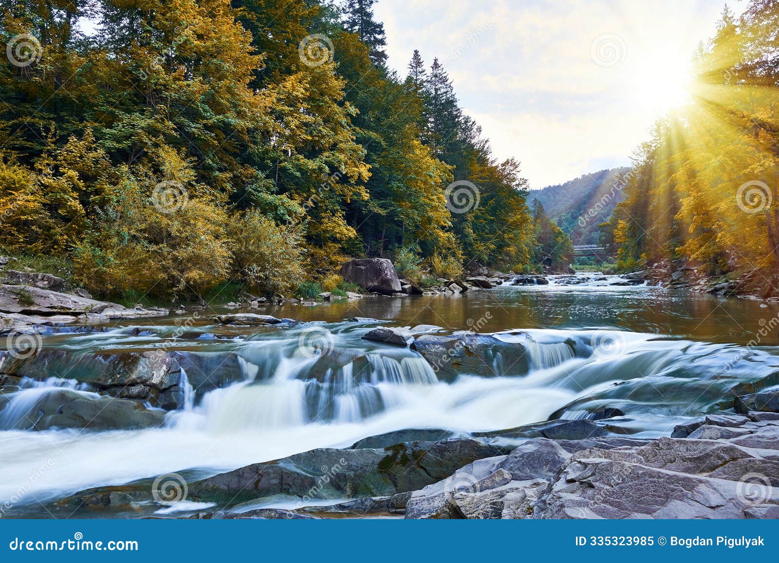 a serene mountain river flows through the lush forest, with sunlight streaming through the trees, creating a peaceful autumn