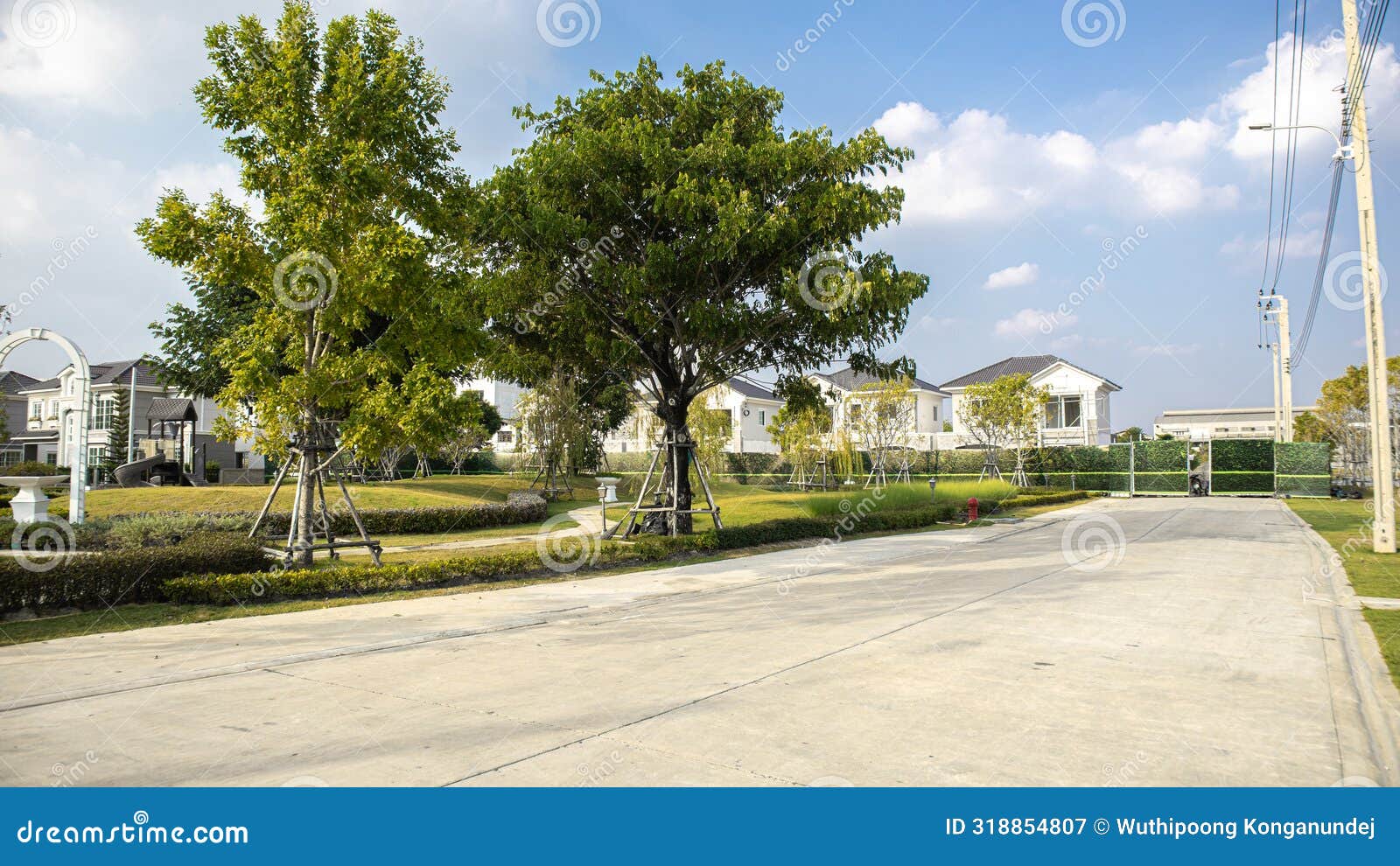 serene residential area with clear skies and a well-maintained environment. in the foreground, there is a concrete road leading to