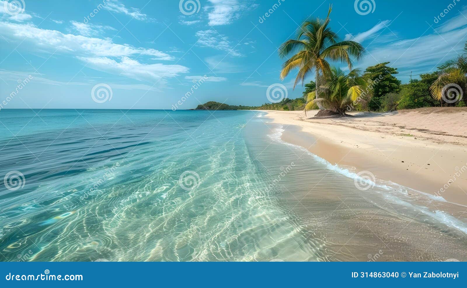 serene shoreline: palm trees & crystal waters. concept beach photography, ocean views, tropical