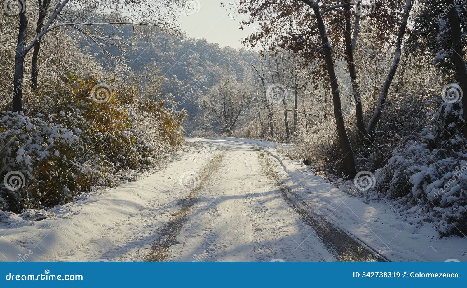 snowy forest path with bare trees and golden winter grass
