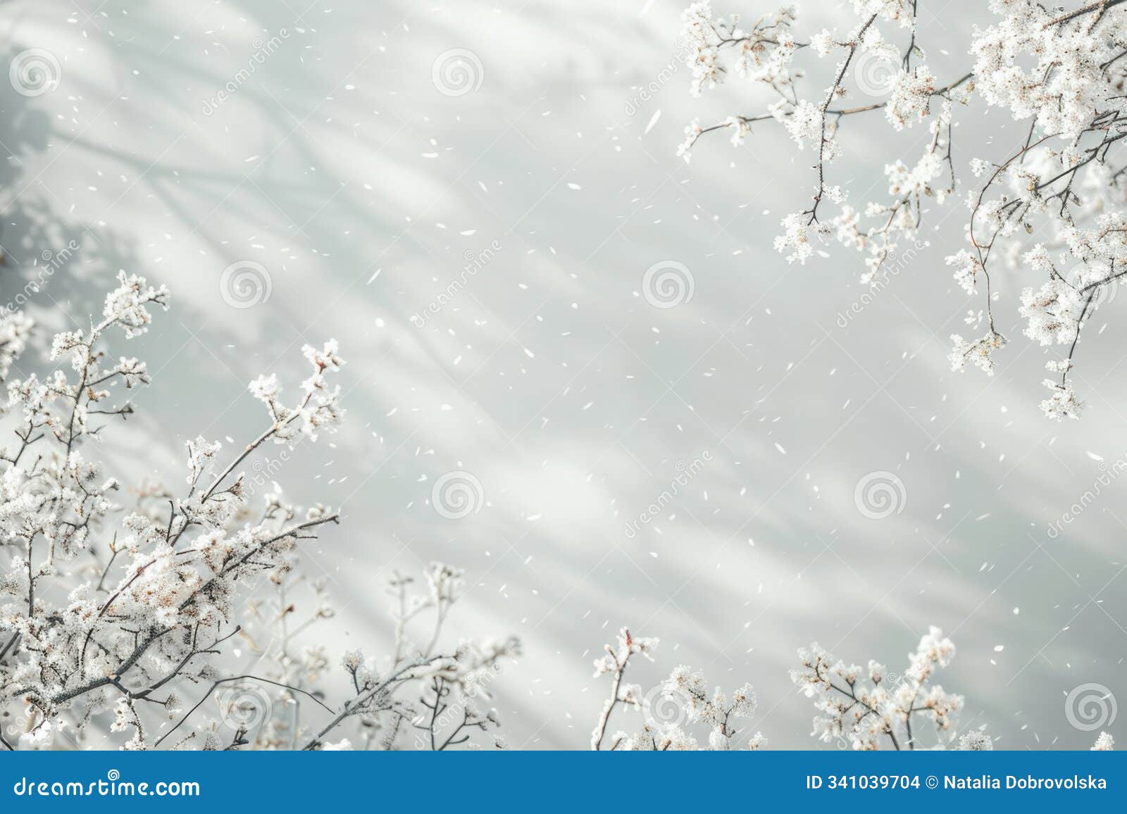 a serene snowy meadow surrounded by trees, creating a peaceful winter scene
