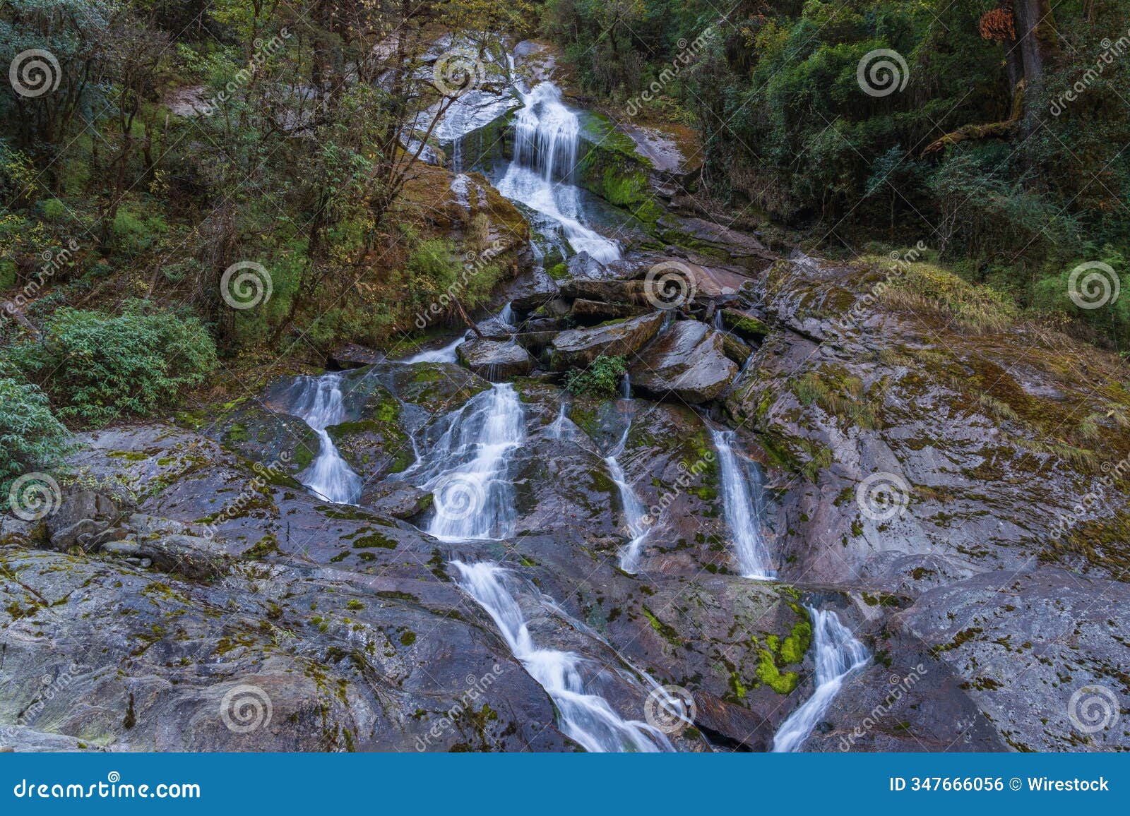 serene waterfall in lush forest