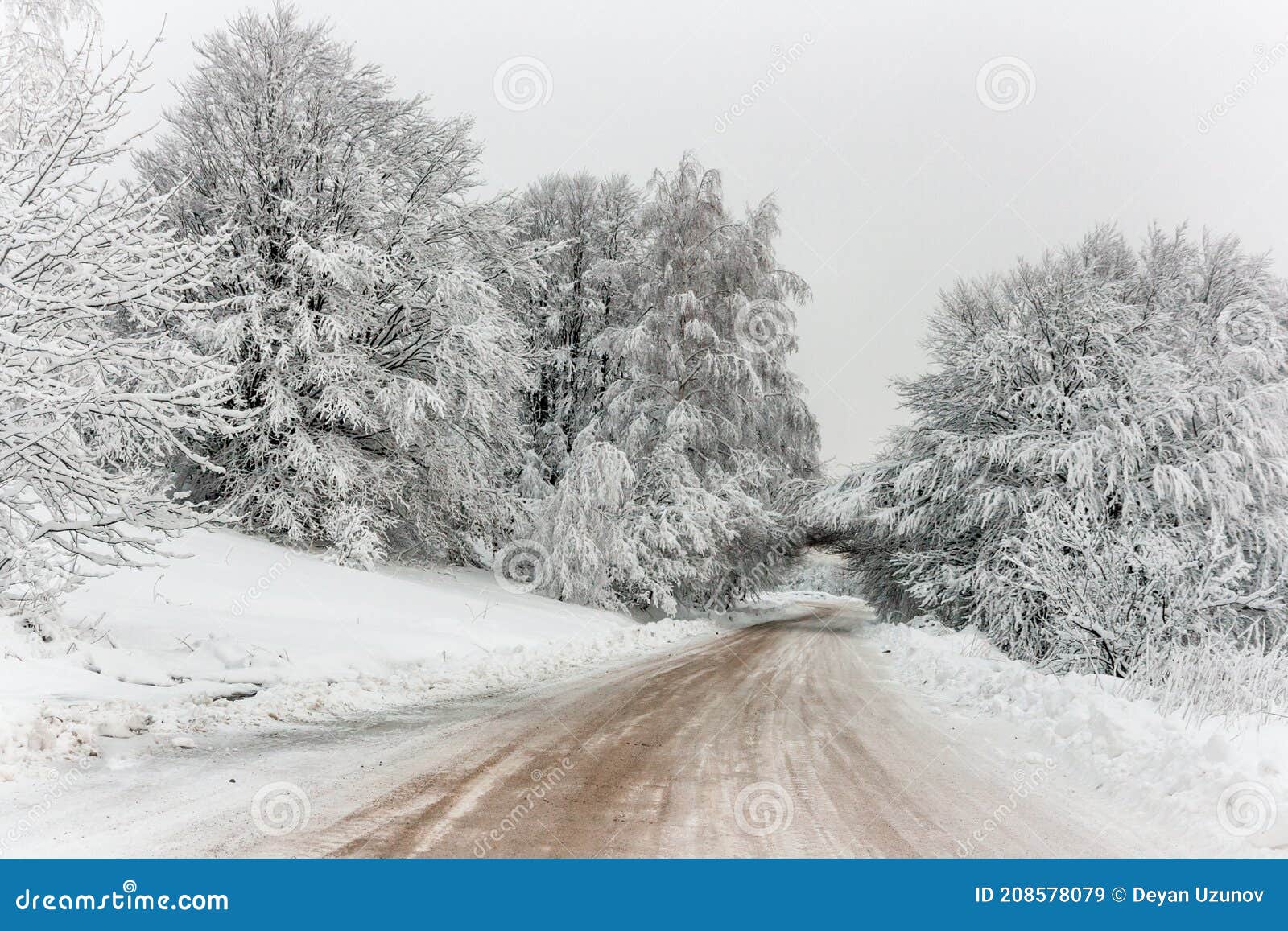 serene winter scenery: snowy mountain road on a cold day