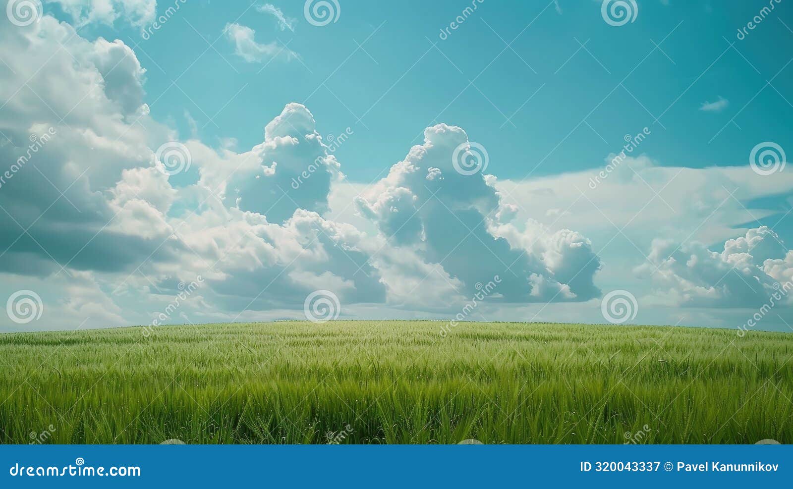 serenity in nature: lush green field stretching under vibrant blue sky