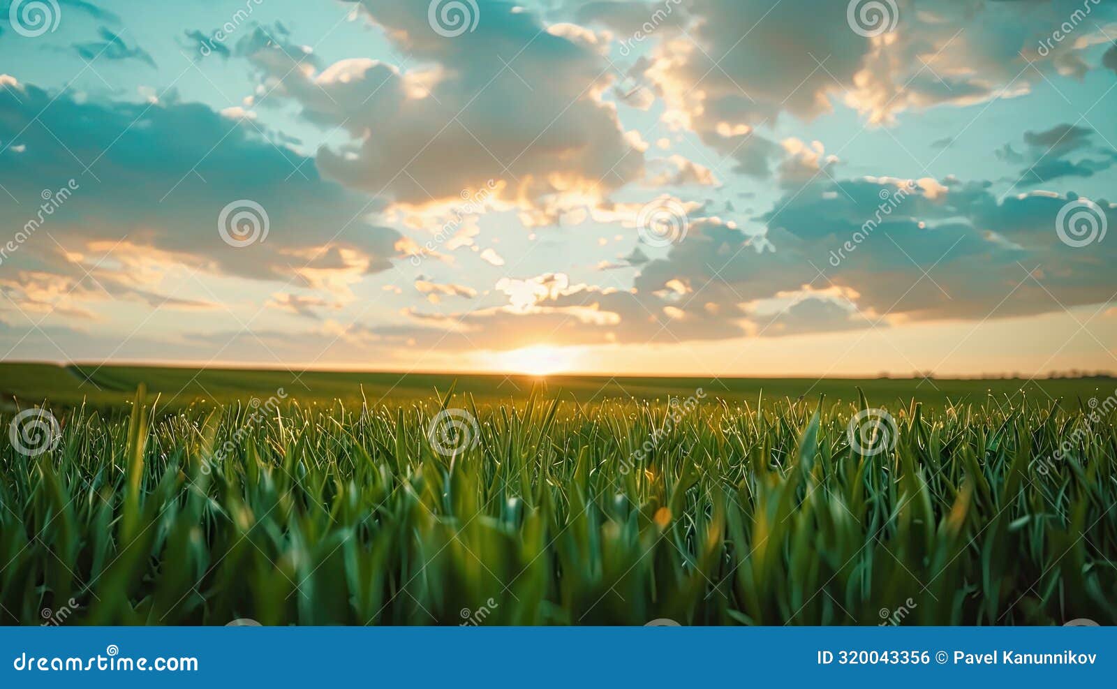 serenity in nature: lush green field stretching under vibrant blue sky