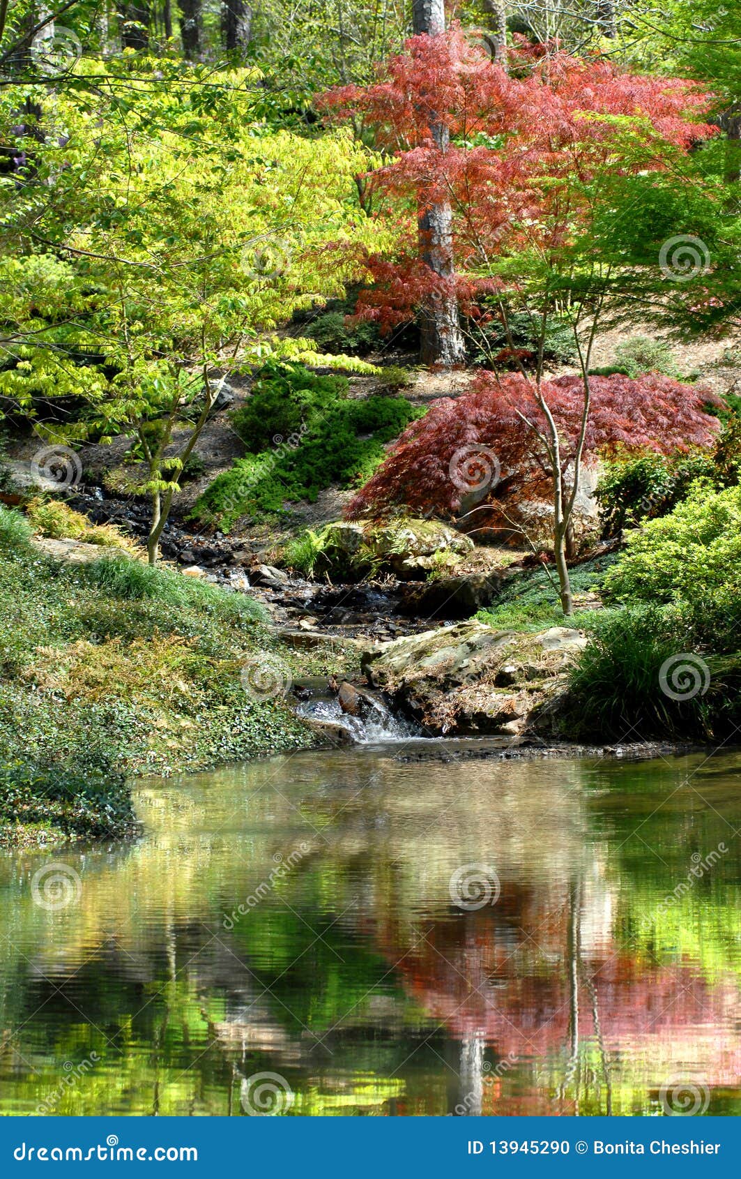 serenity pool