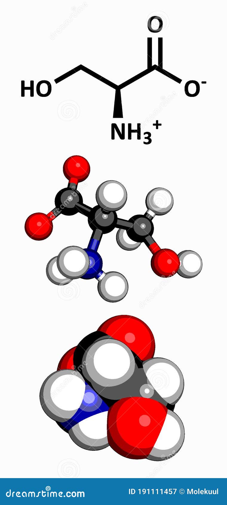 serine l-serine, ser, s amino acid molecule.