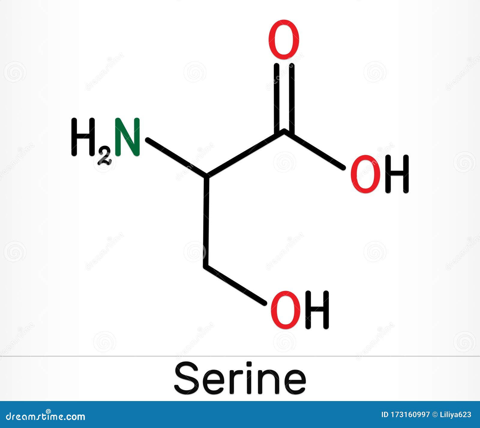 Serine, Ser Amino Acid Molecule. It Is Used In The