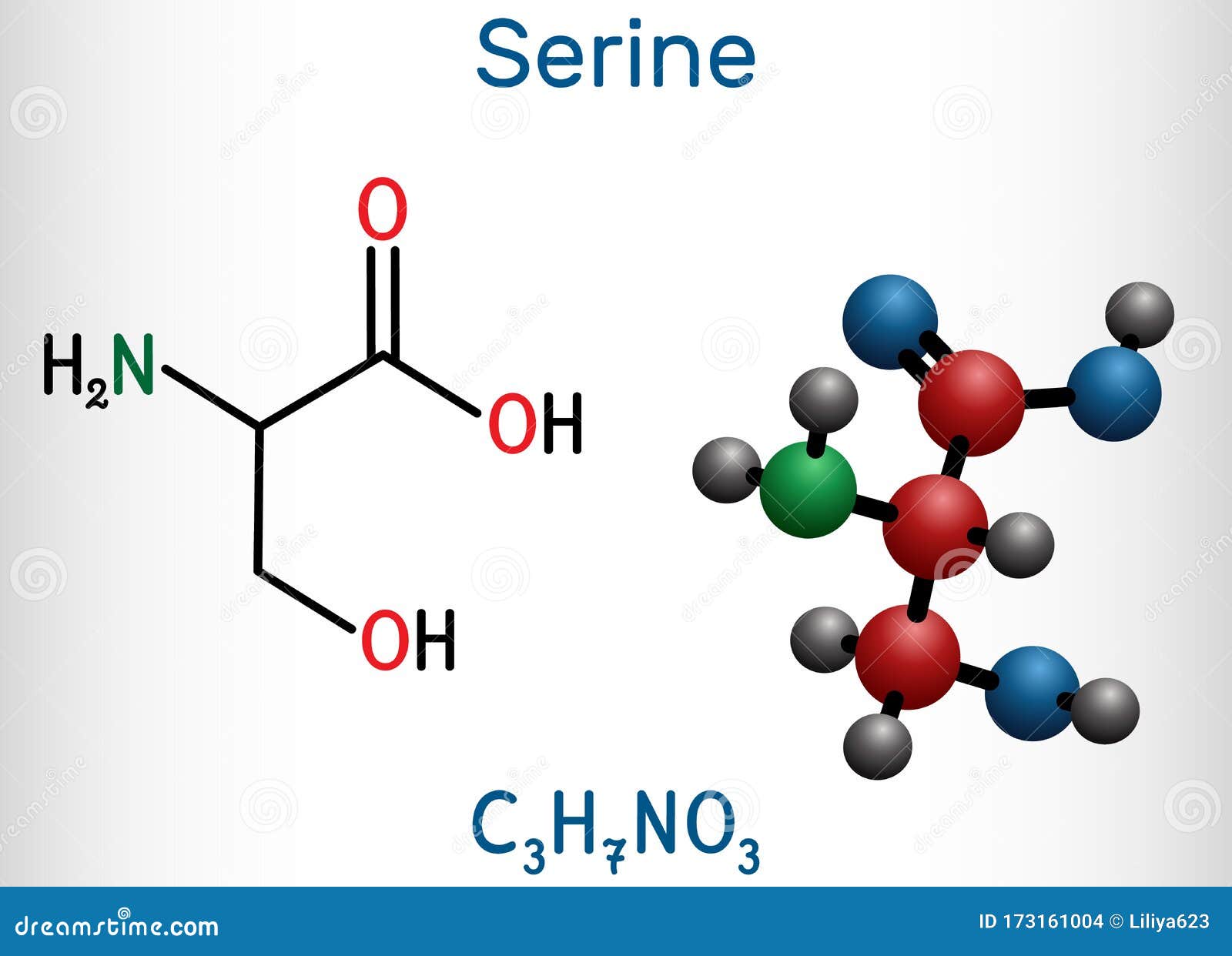 Serine, Ser Amino Acid Molecule. It Is Used In The