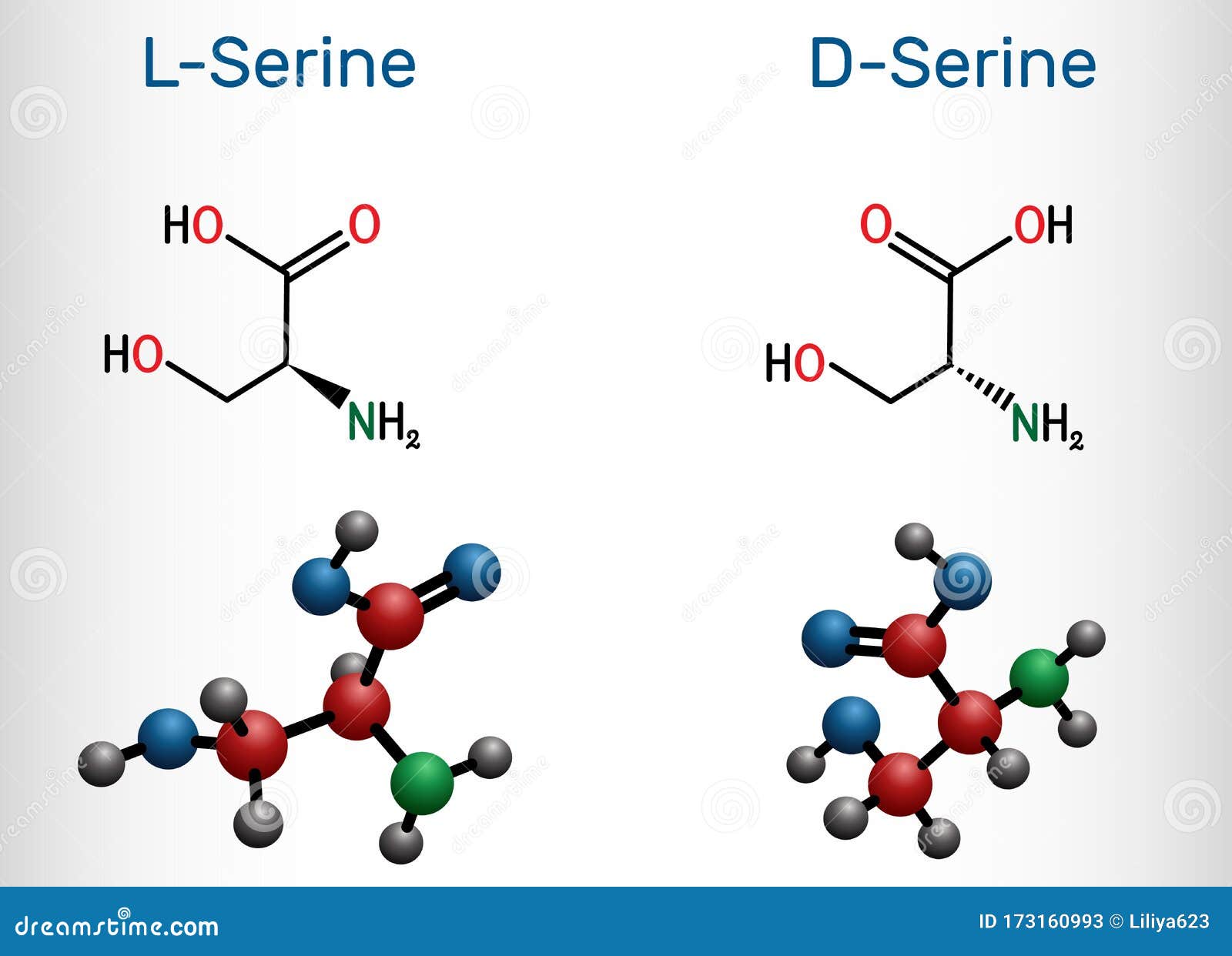 Serine, Ser Amino Acid Molecule. It Is Used In The
