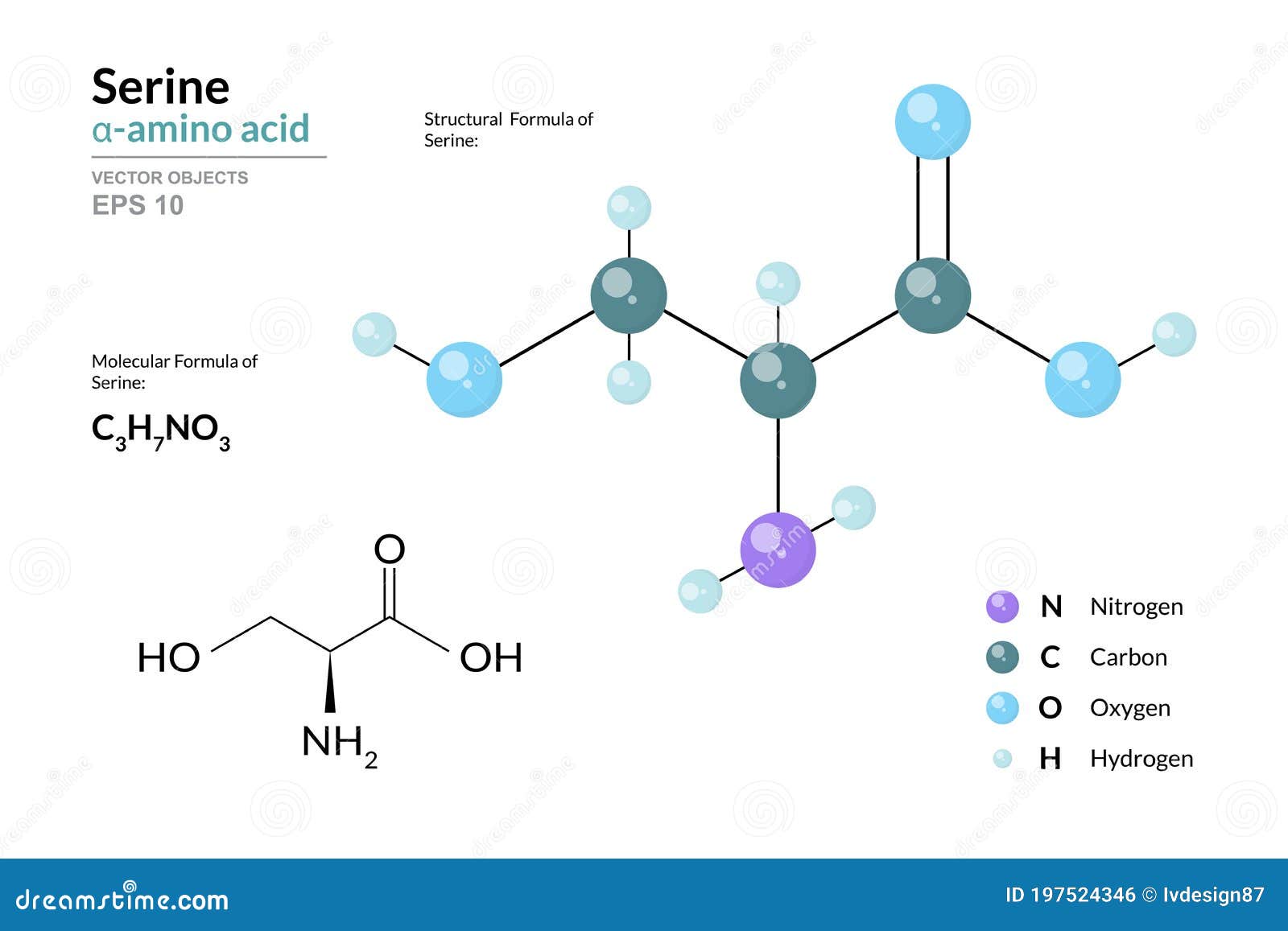 serine. ser c3h7no3. ÃÂ±-amino acid. structural chemical formula and molecule 3d model. atoms with color coding. 