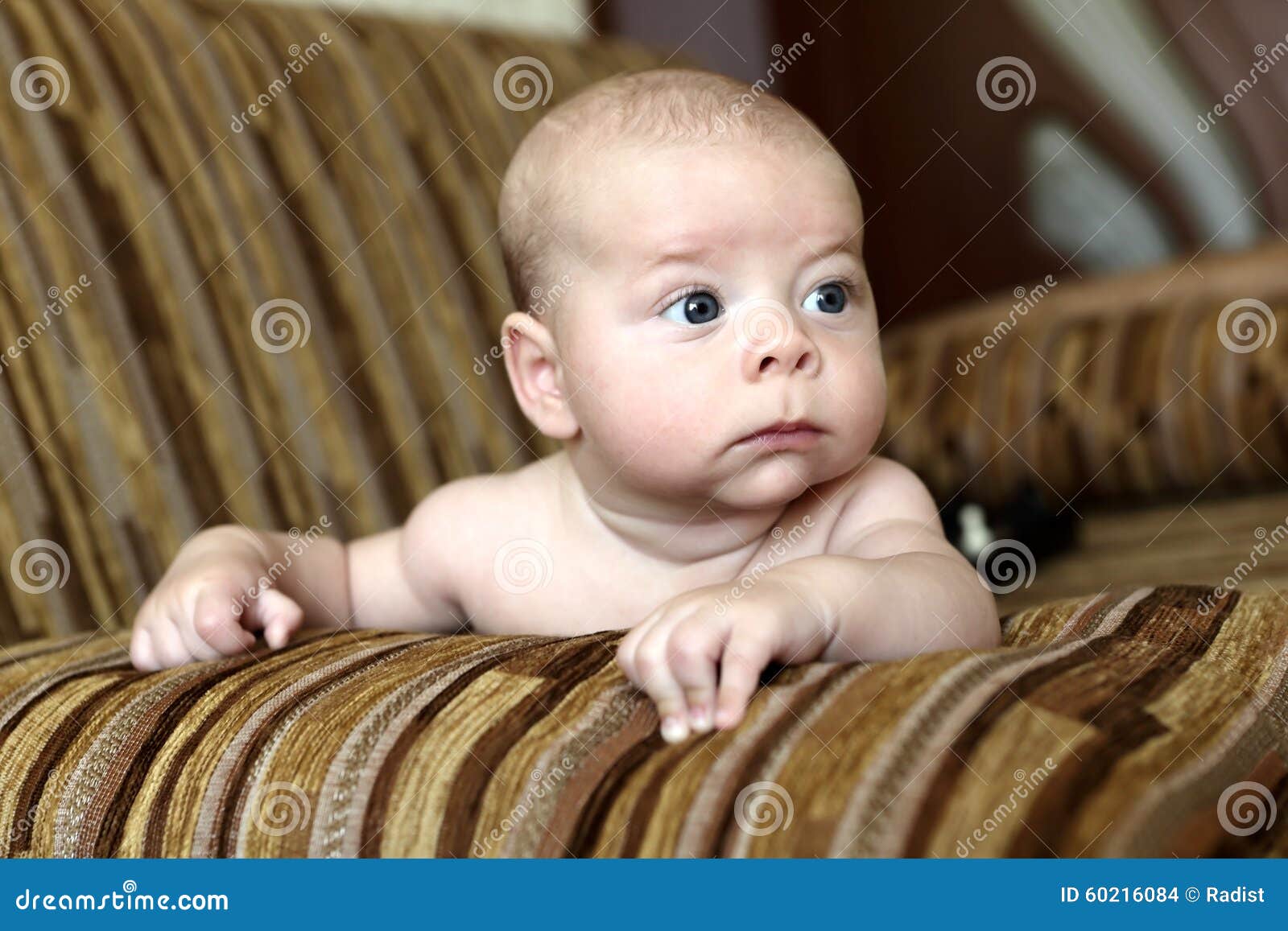 Serious Newborn Baby Boy on the Sofa Stock Photo Image of beauty