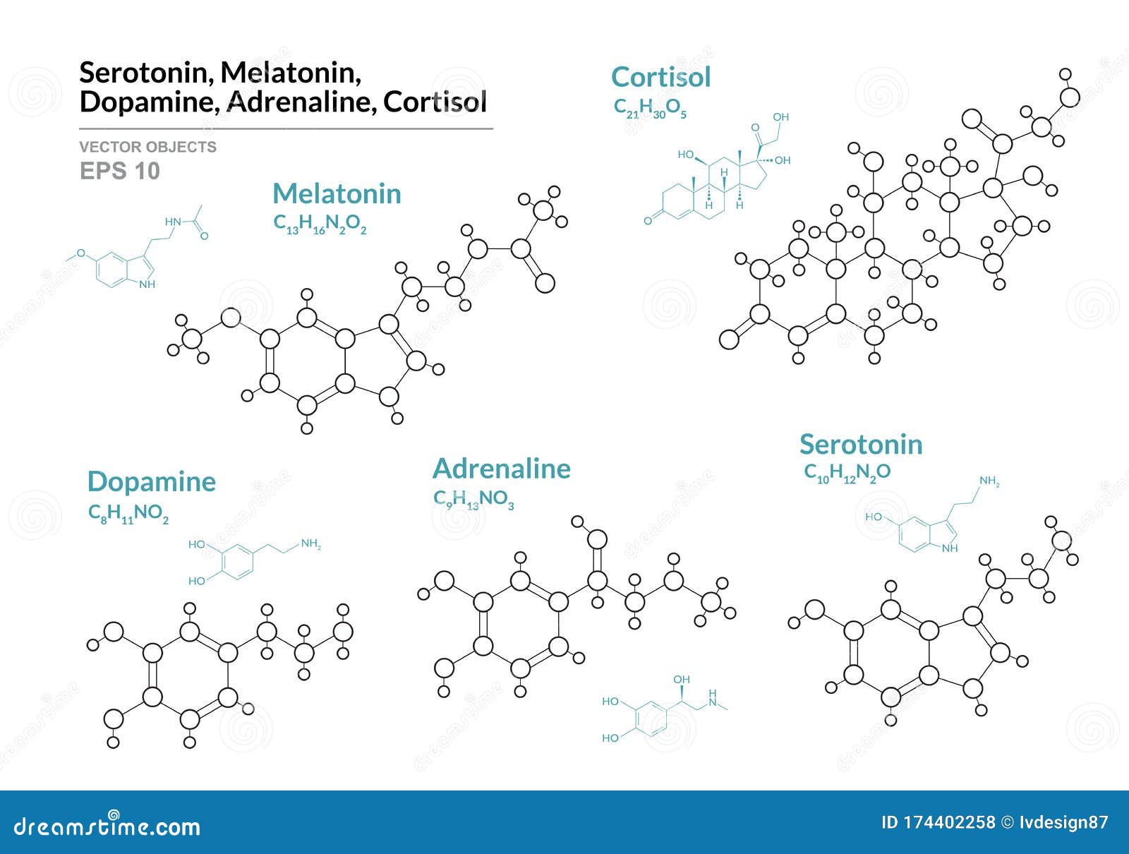serotonin, melatonin,  dopamine, adrenaline, cortisol. hormones. structural chemical formula and molecule model. line .