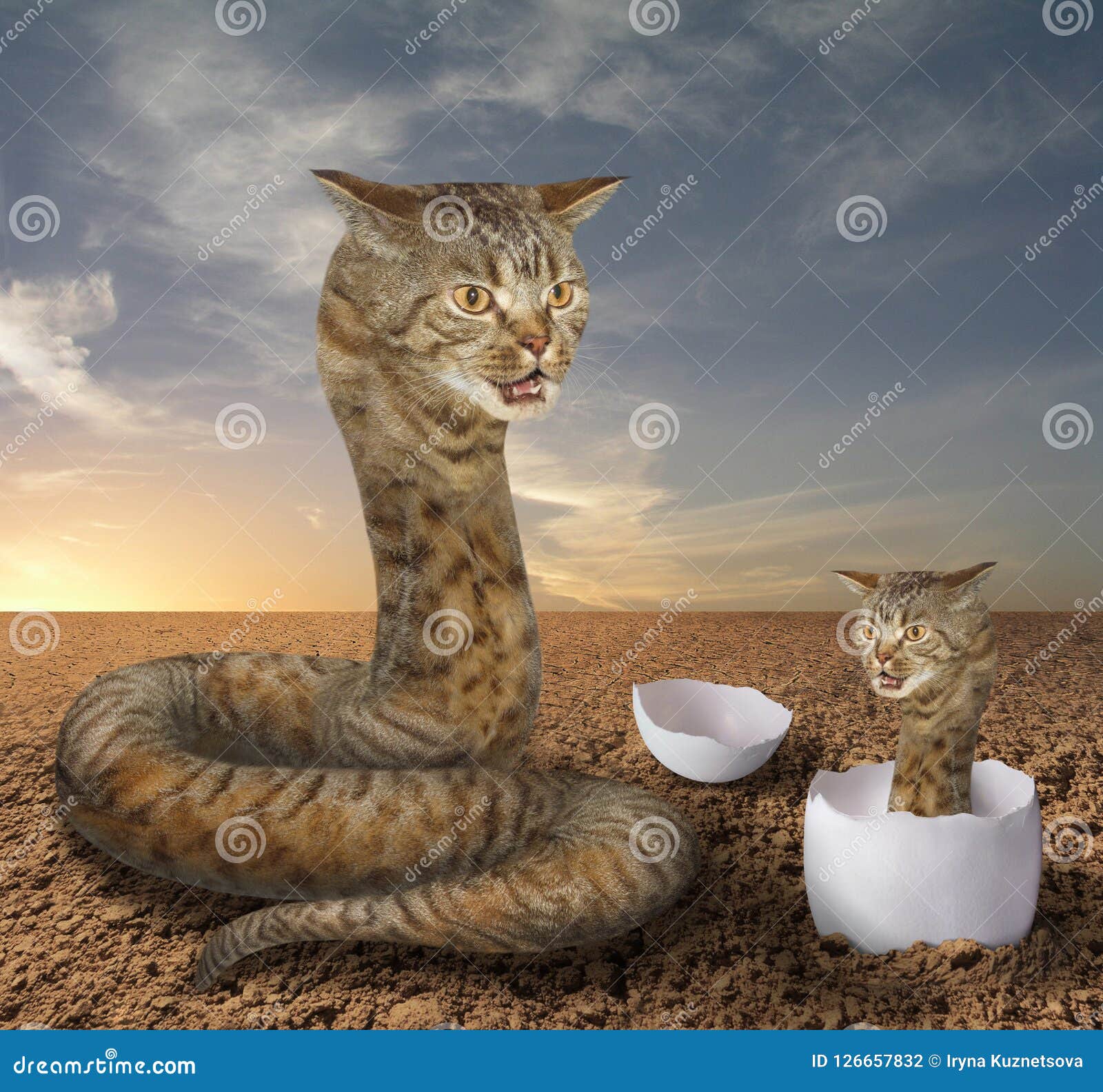 Serpent De Chat Et Son Petit Animal Photo Stock Image Du Lionceau Python