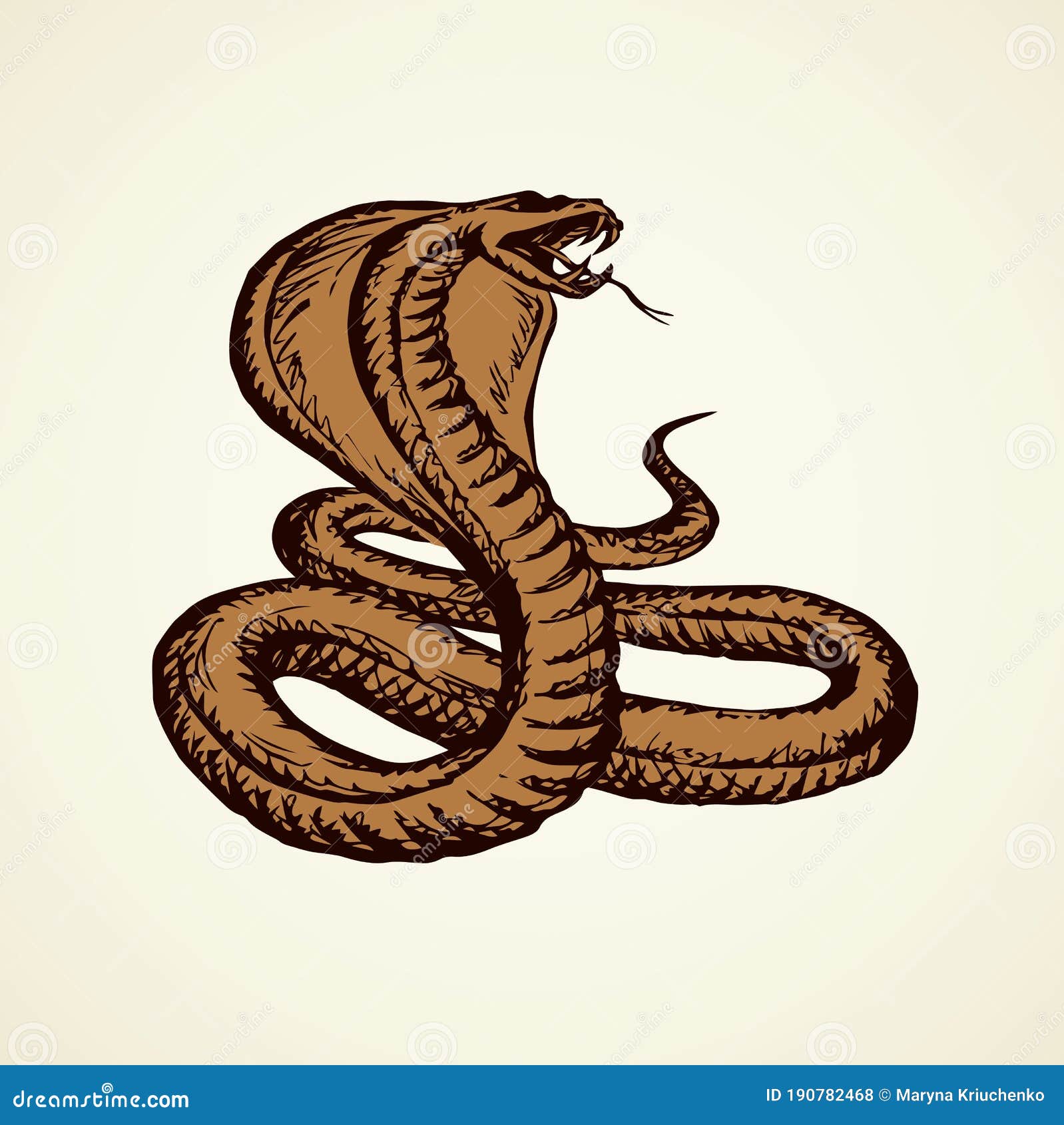 Serpent Dessin De Vecteur Illustration De Vecteur Illustration Du Anaconda Serpent Dessin De Vecteur Illustration De Vecteur Illustration Du Anaconda