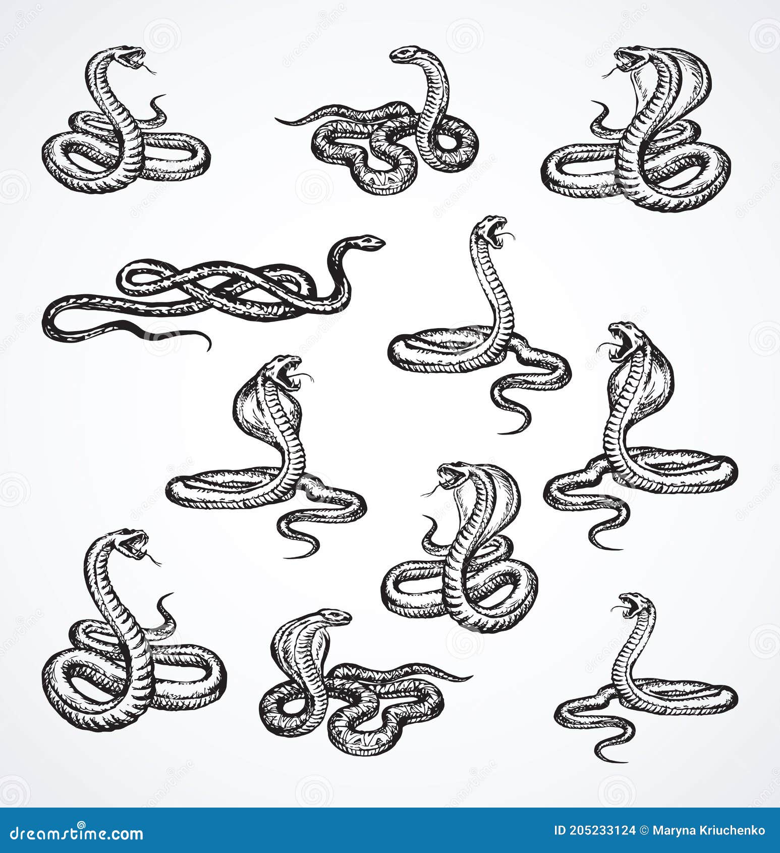 Serpent Dessin De Vecteur Illustration De Vecteur Illustration Du Rampement Serpent Dessin De Vecteur Illustration De Vecteur Illustration Du Rampement