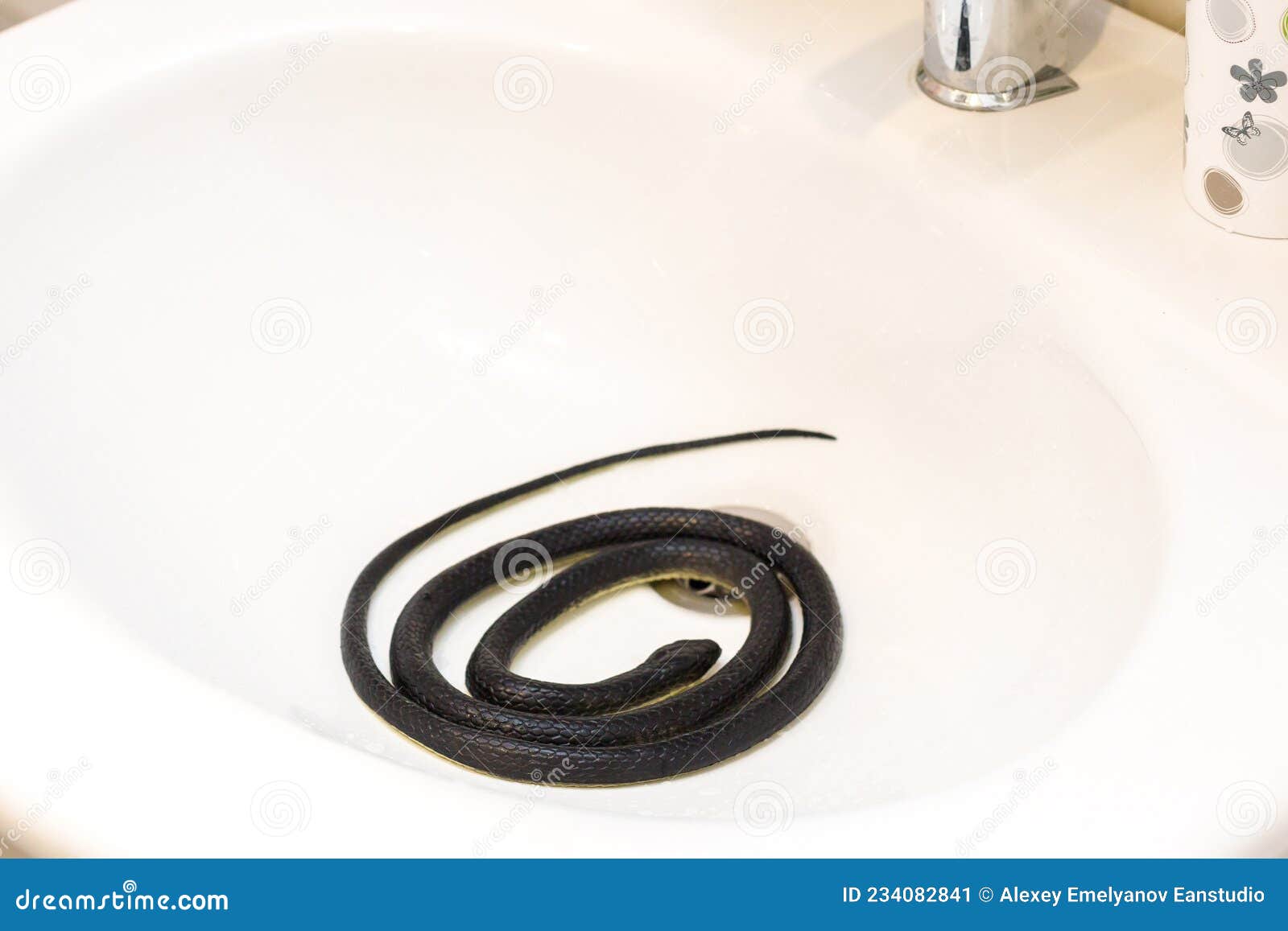 Serpent Noir Venimeux Dans La Salle De Bain Du Lavabo Image stock