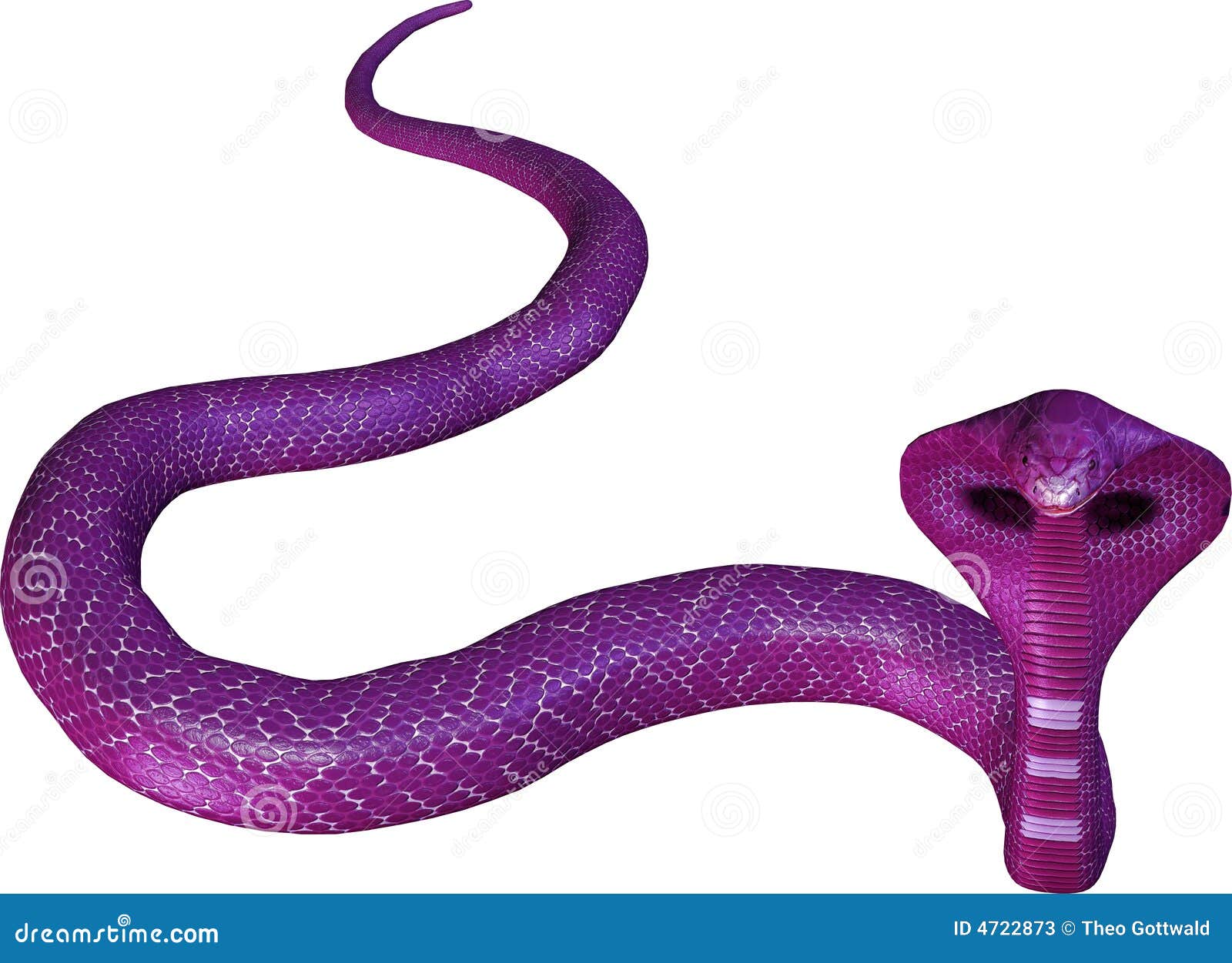 Serpent violet de cobra illustration stock. Illustration du illustration 4722873