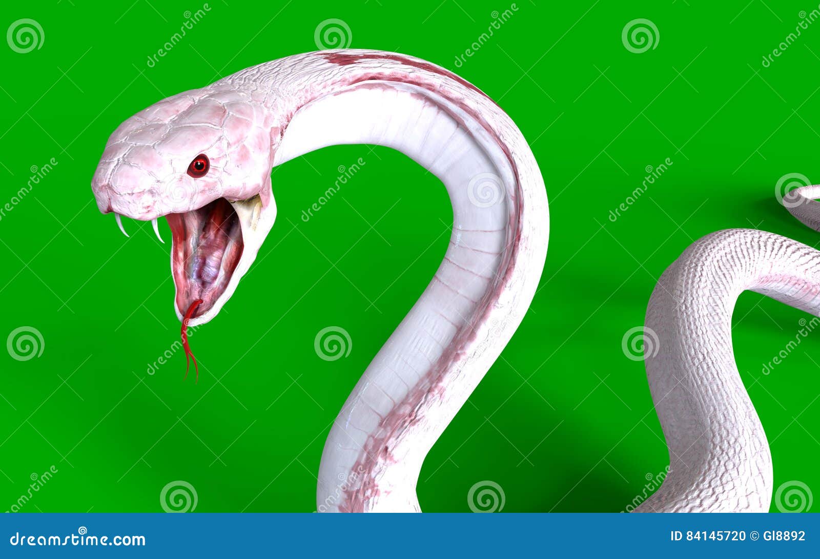 Cobra Da Serpente 3D Isolada Em Um Branco Ilustração Stock