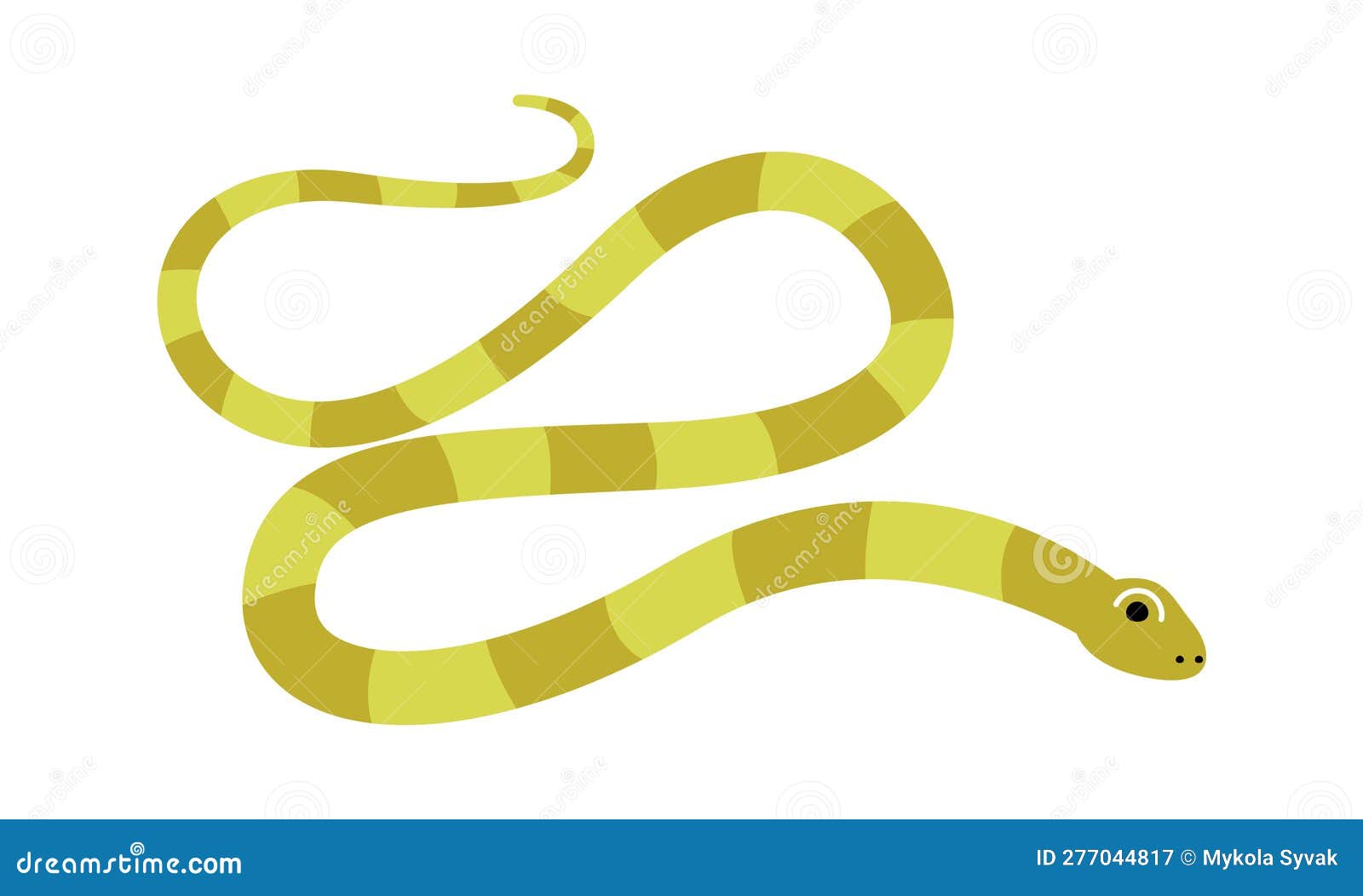 Vetores de Desenho Animado Bonito Da Víbora Da Cobra Azul Dentro De Um Ovo  e mais imagens de Animal - iStock