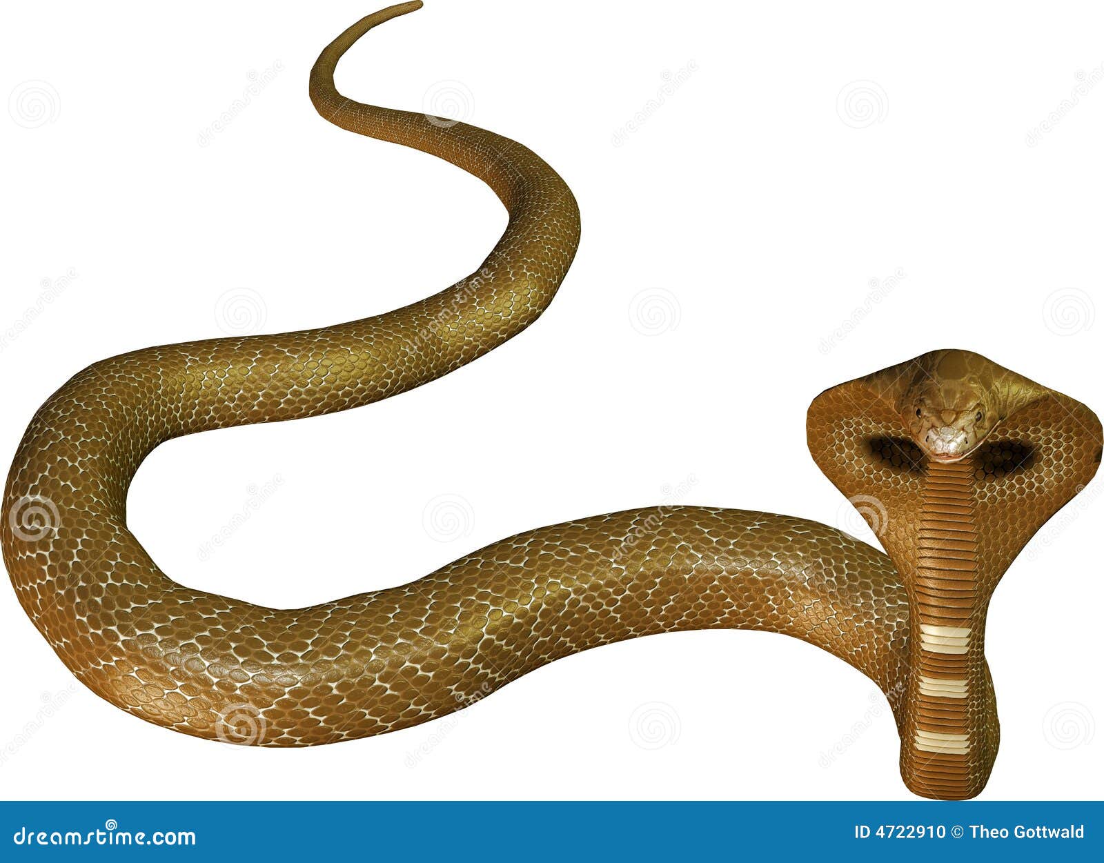 Cobra Da Serpente 3D Isolada Em Um Branco Ilustração Stock