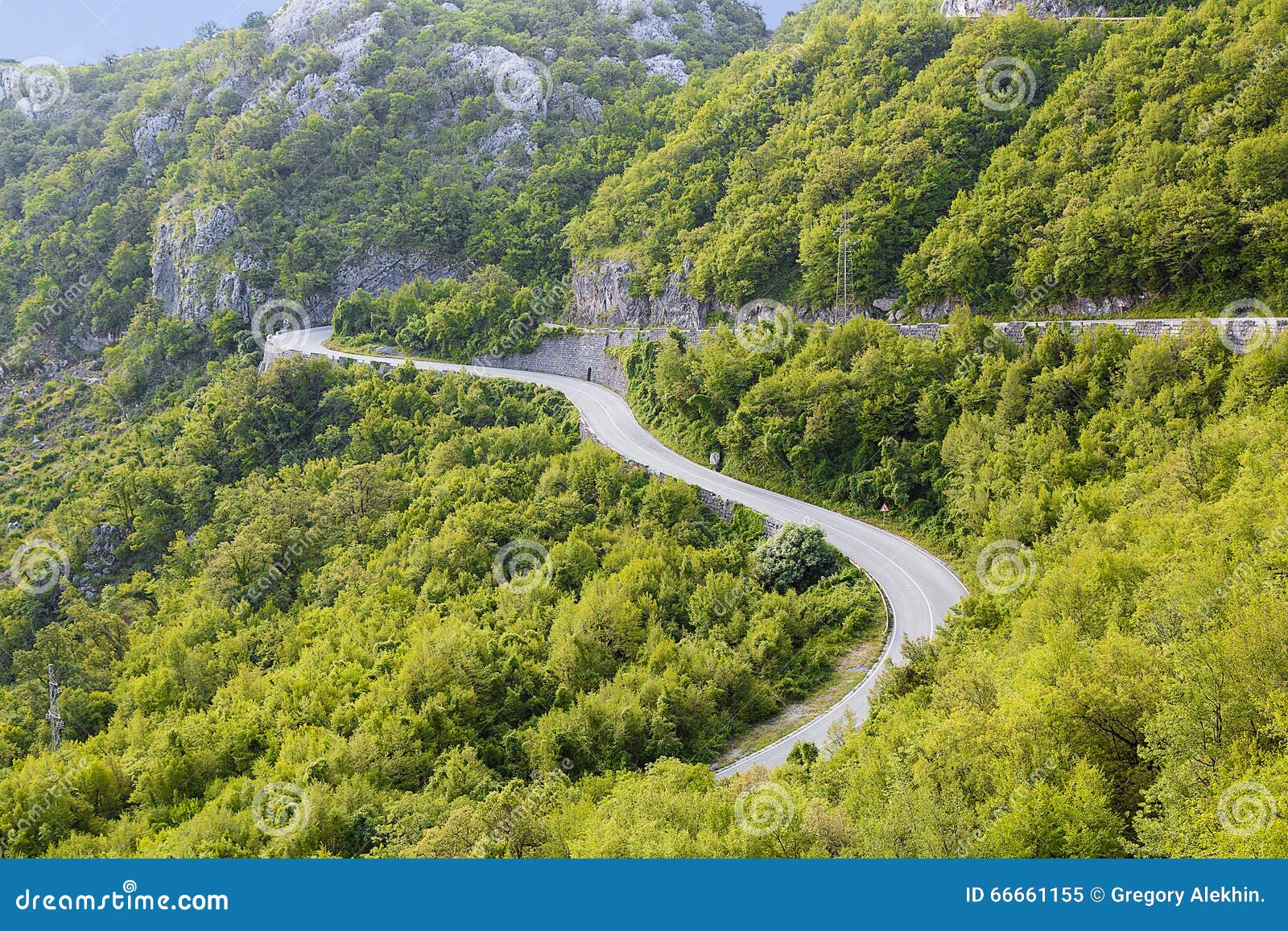 Serpentine road. stock image. Image of greenery, morning 66661155