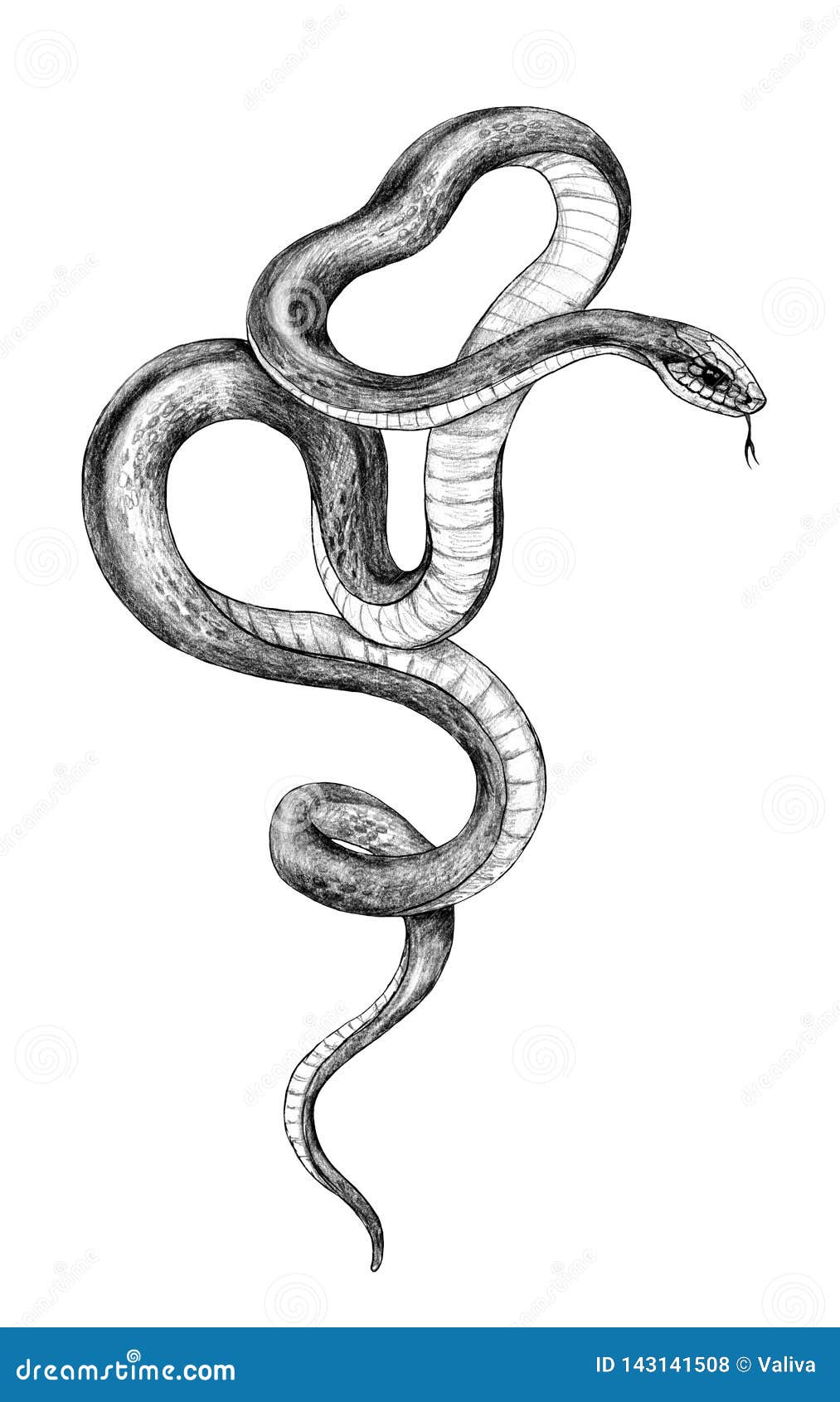Serpiente Monocromática Exhausta De La Mano Stock de ilustración -  Ilustración de contorno, fondo: 143141508