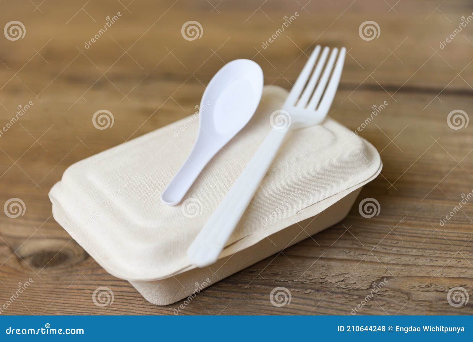 Service Food Order Online Delivery Food Box, Delivery in Take Away Boxes,  Disposable Eco Friendly Packaging Containers with Spoon Stock Photo - Image  of dinner, brown: 210644248