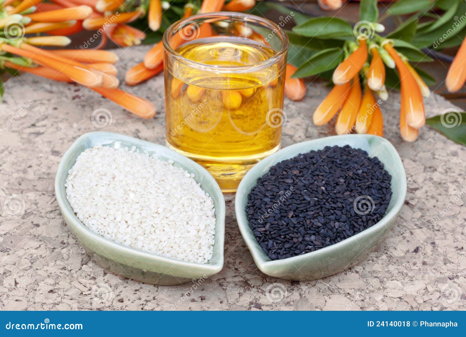 Sesame oil stock photo. Image of taste, nutrition, pure 24140018