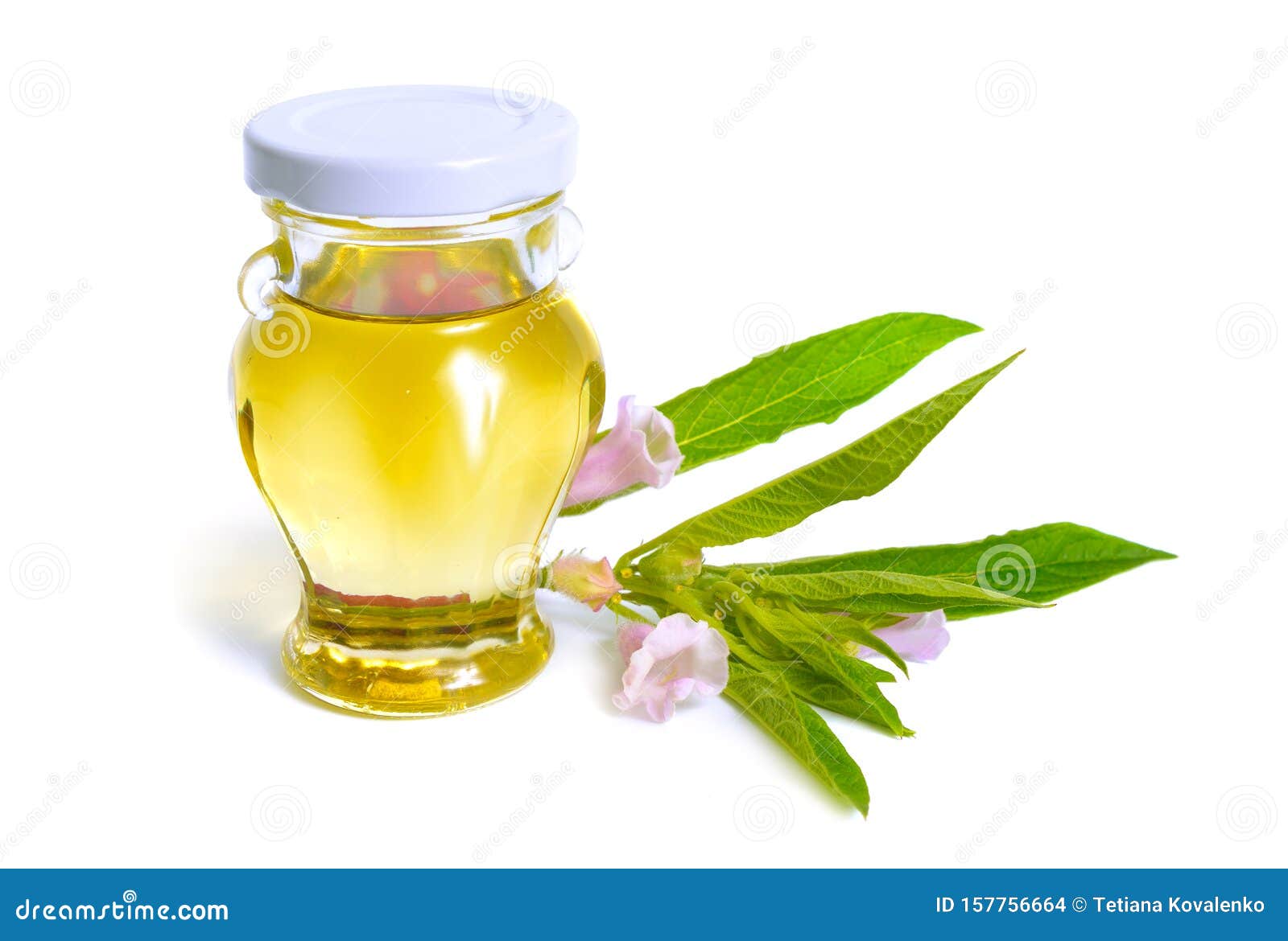 Sesame Oil with Plant Isolated on White Background Stock Photo Image