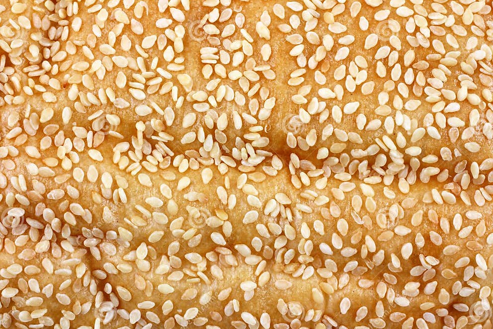 Sesame Seed Italian Bread Loaf Stock Image Image of italian, baked