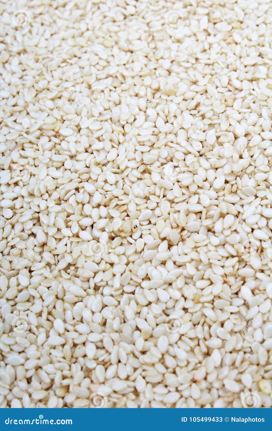 Sesame Seed Texture. Sesame Seeds Pattern As Background Stock Image ...