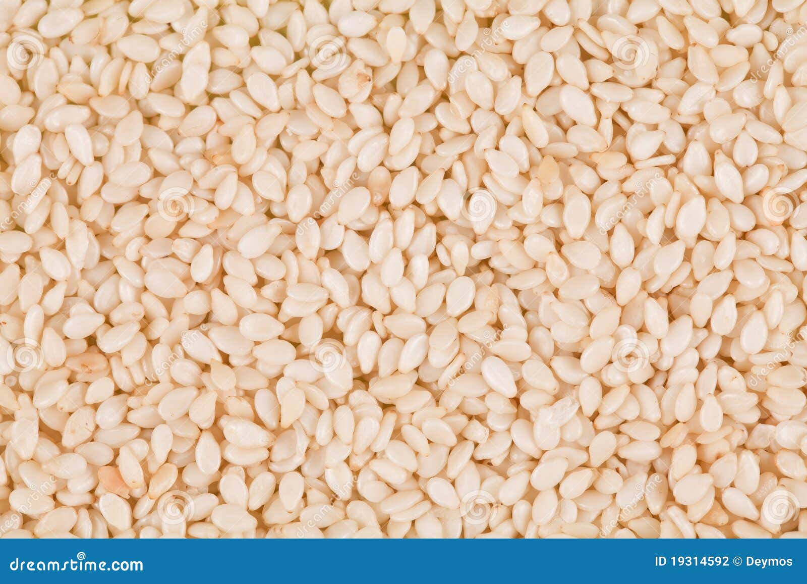 Sesame seeds stock photo. Image of nutty, culture, closeup 19314592