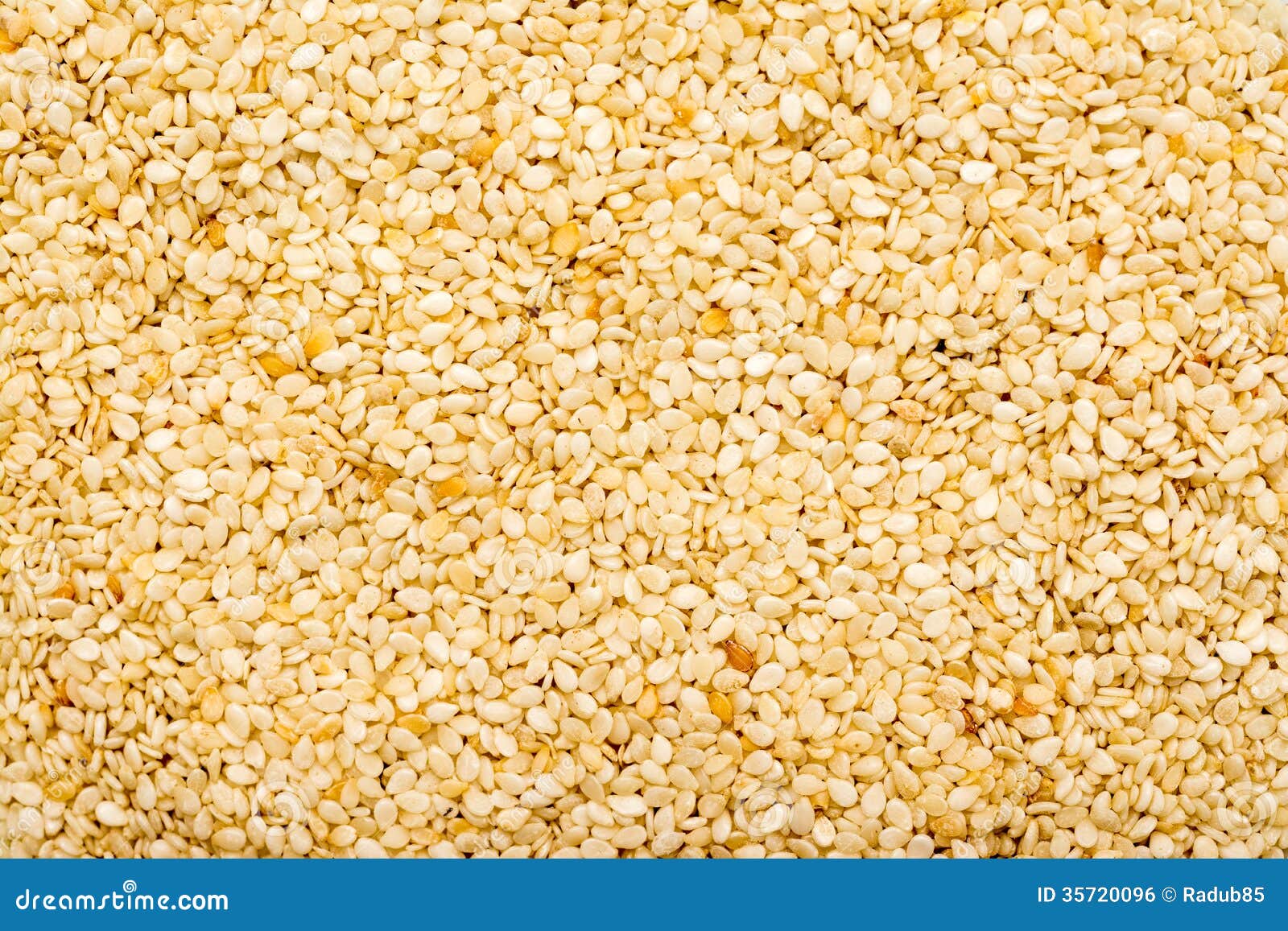 Sesame Seeds stock photo. Image of condiment, healthy 35720096