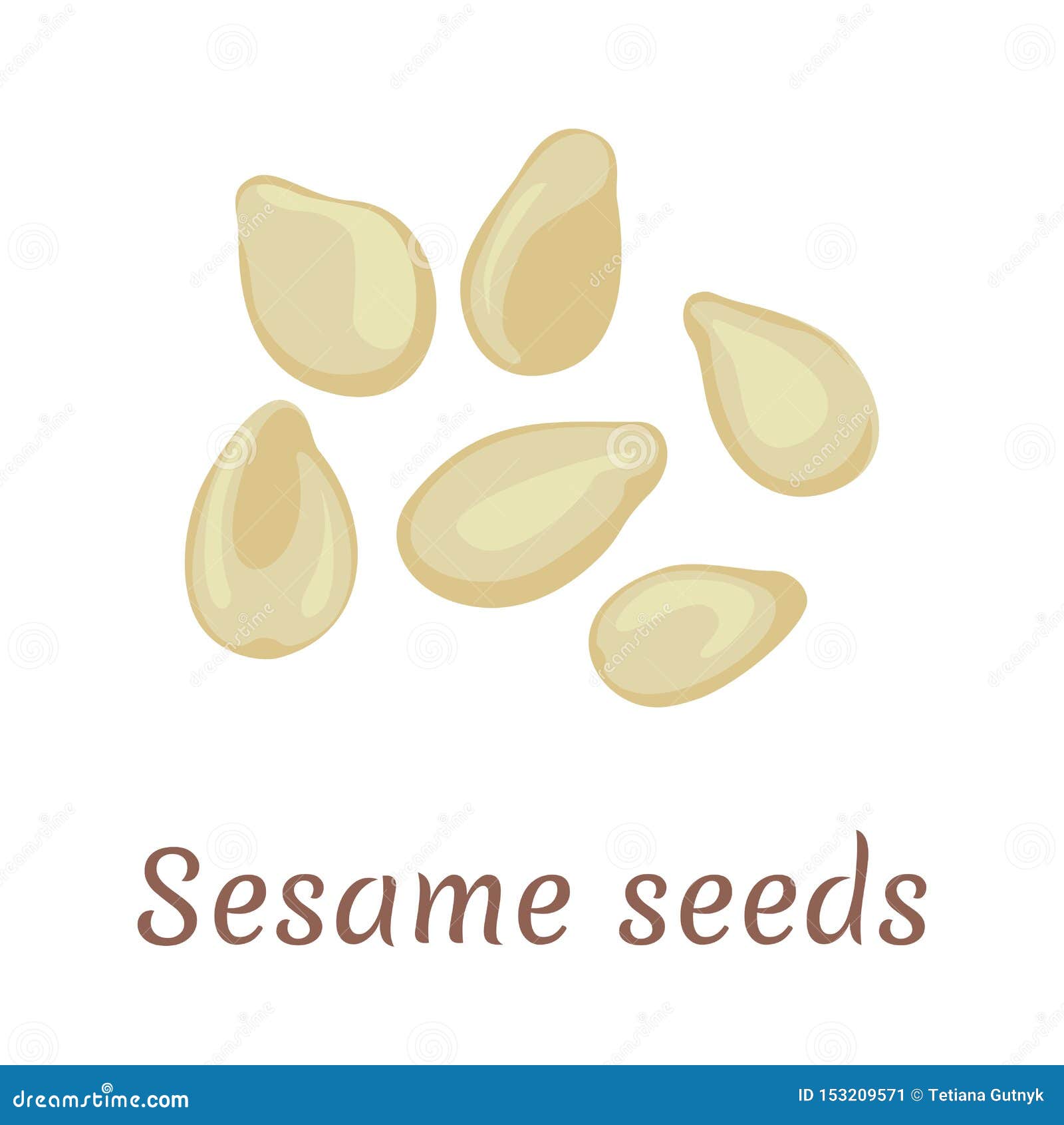 Sesame Seeds Icon. Vector Illustration in Cartoon Flat Simple Style. Stock  Vector - Illustration of isolated, medical: 153209571