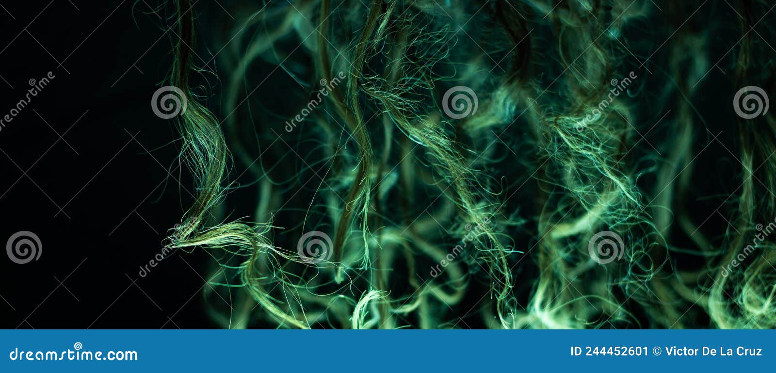 session abstract with hair in caos concept in green light