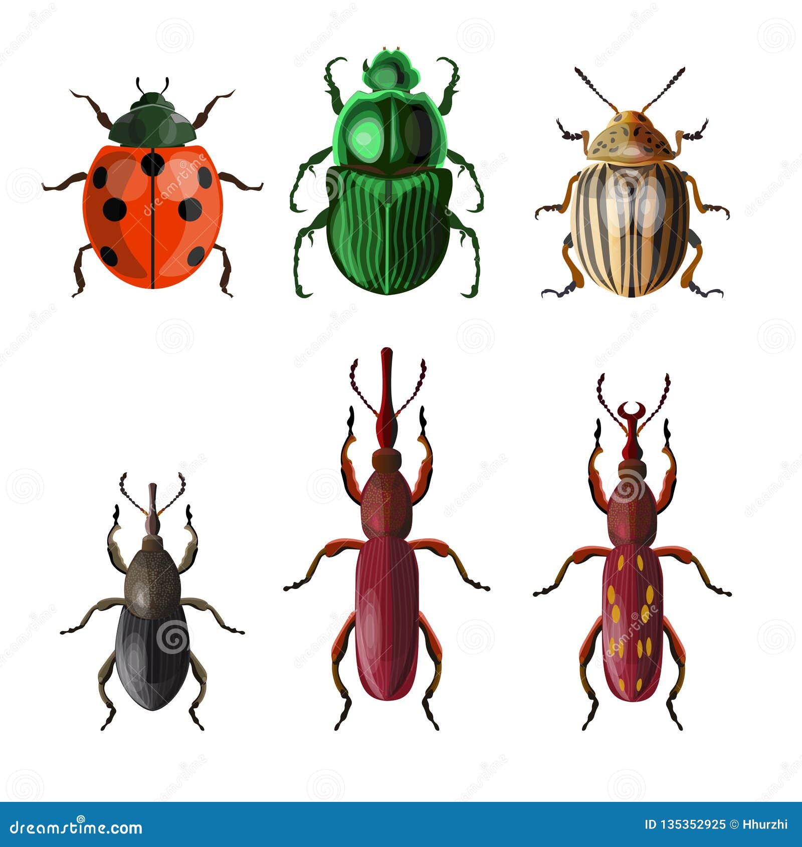 agricultural insect pests