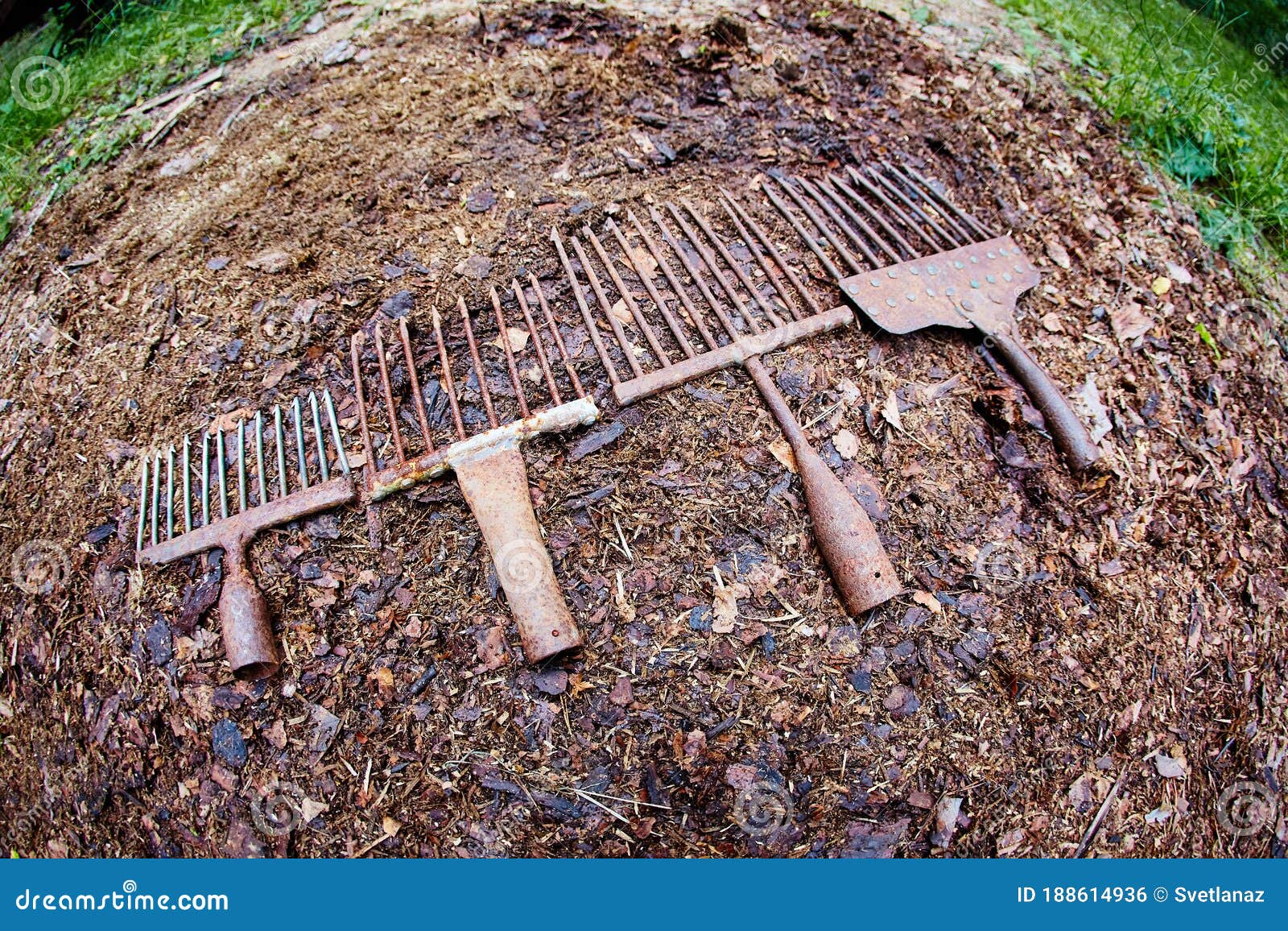 A Set of Ancient Poaching Tools for Fishing - Hooks and Forks Stock Photo -  Image of fishing, closeup: 188614936