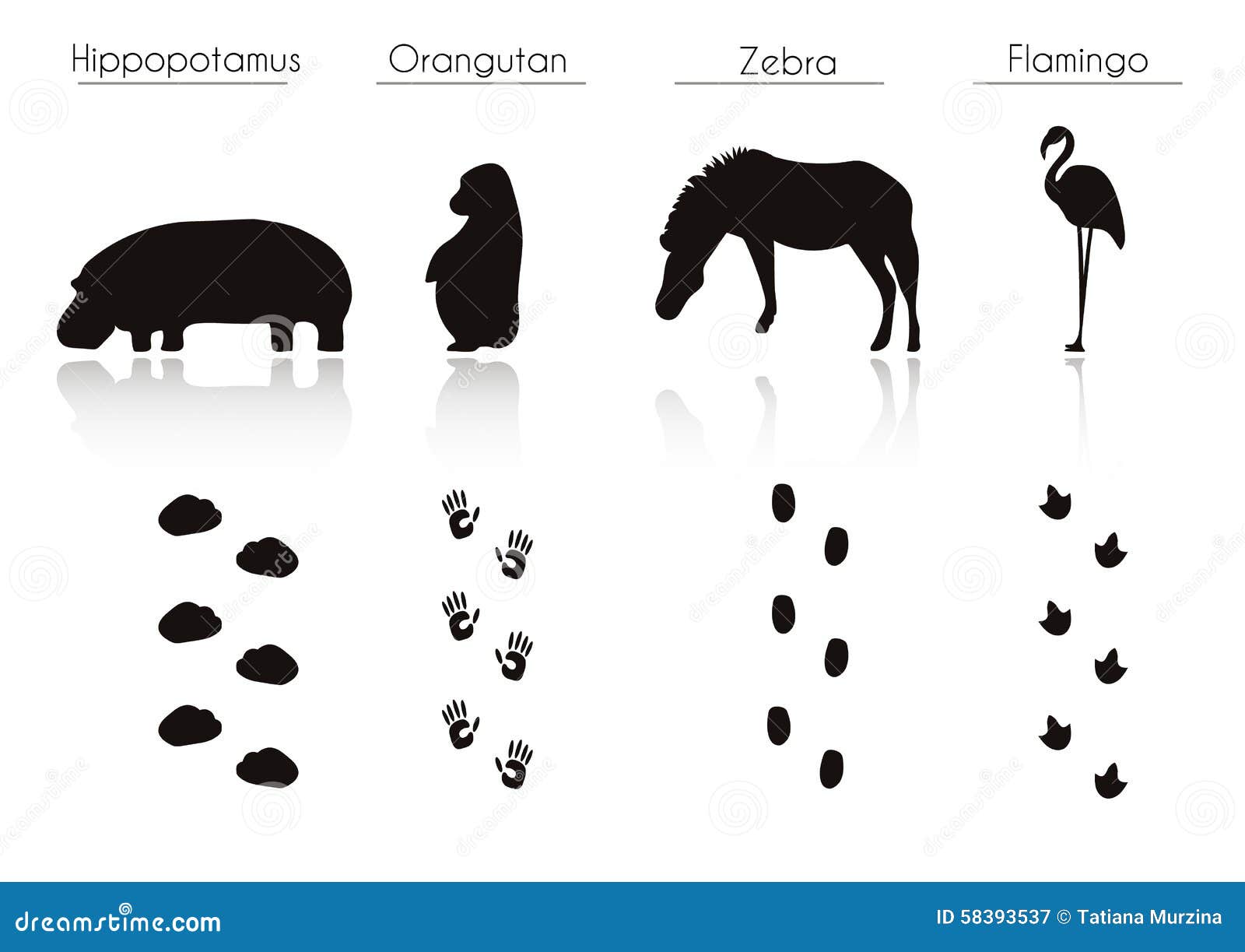 Set of Animal and Bird Trails with  Set of Black Trop Stock  Illustration - Illustration of footprint, foot: 58393537