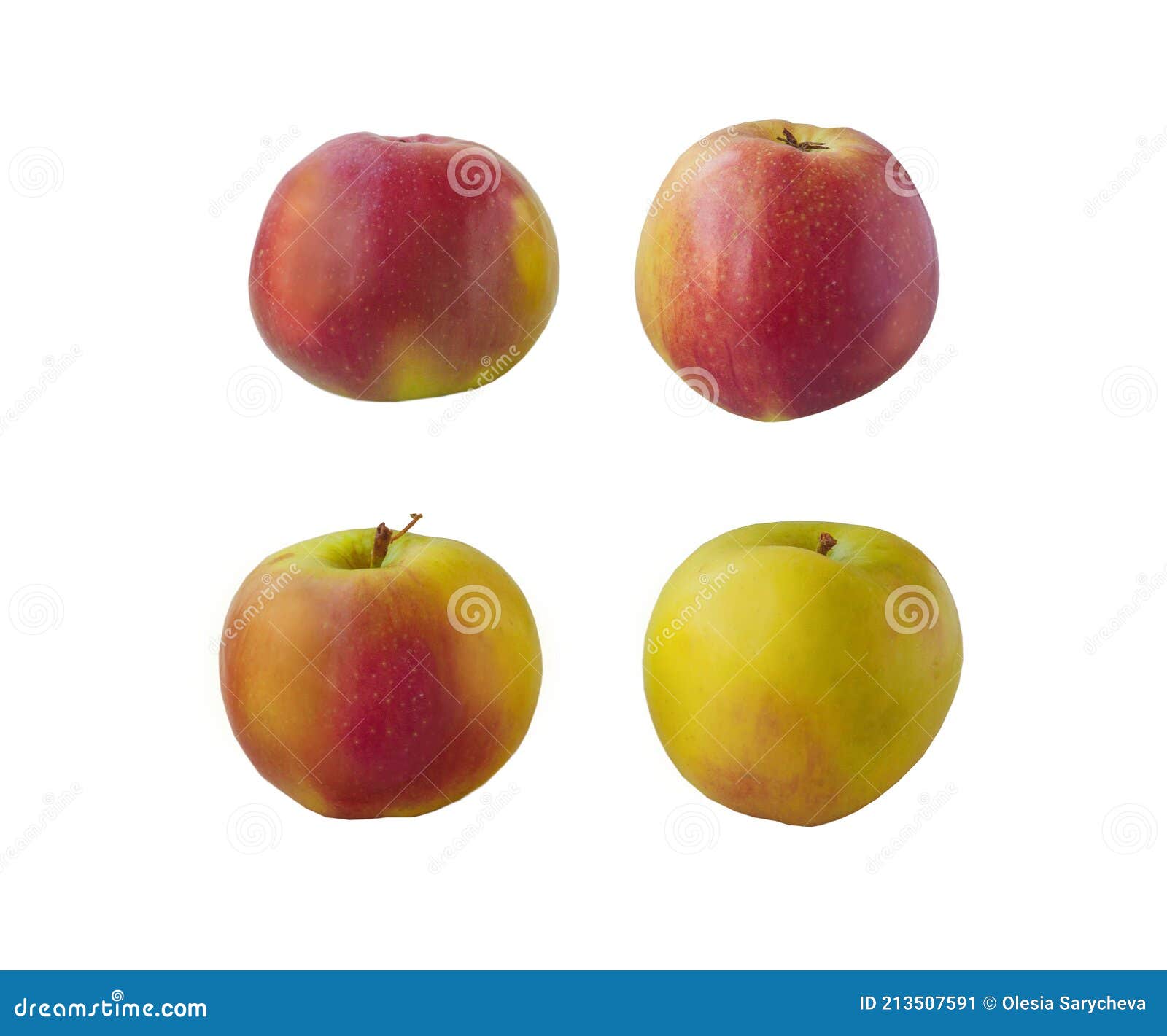 Set apple variety Ligol stock image. Image of color 213507591
