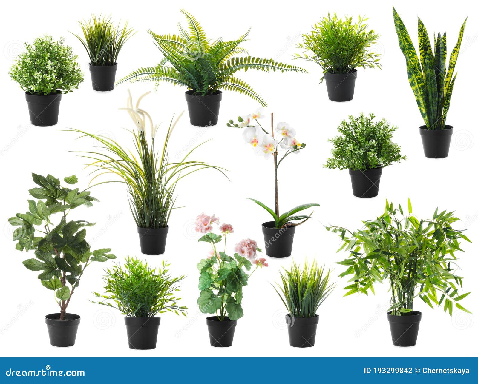 Set of Artificial Plants in Flower Pots Isolated Stock Photo Image of