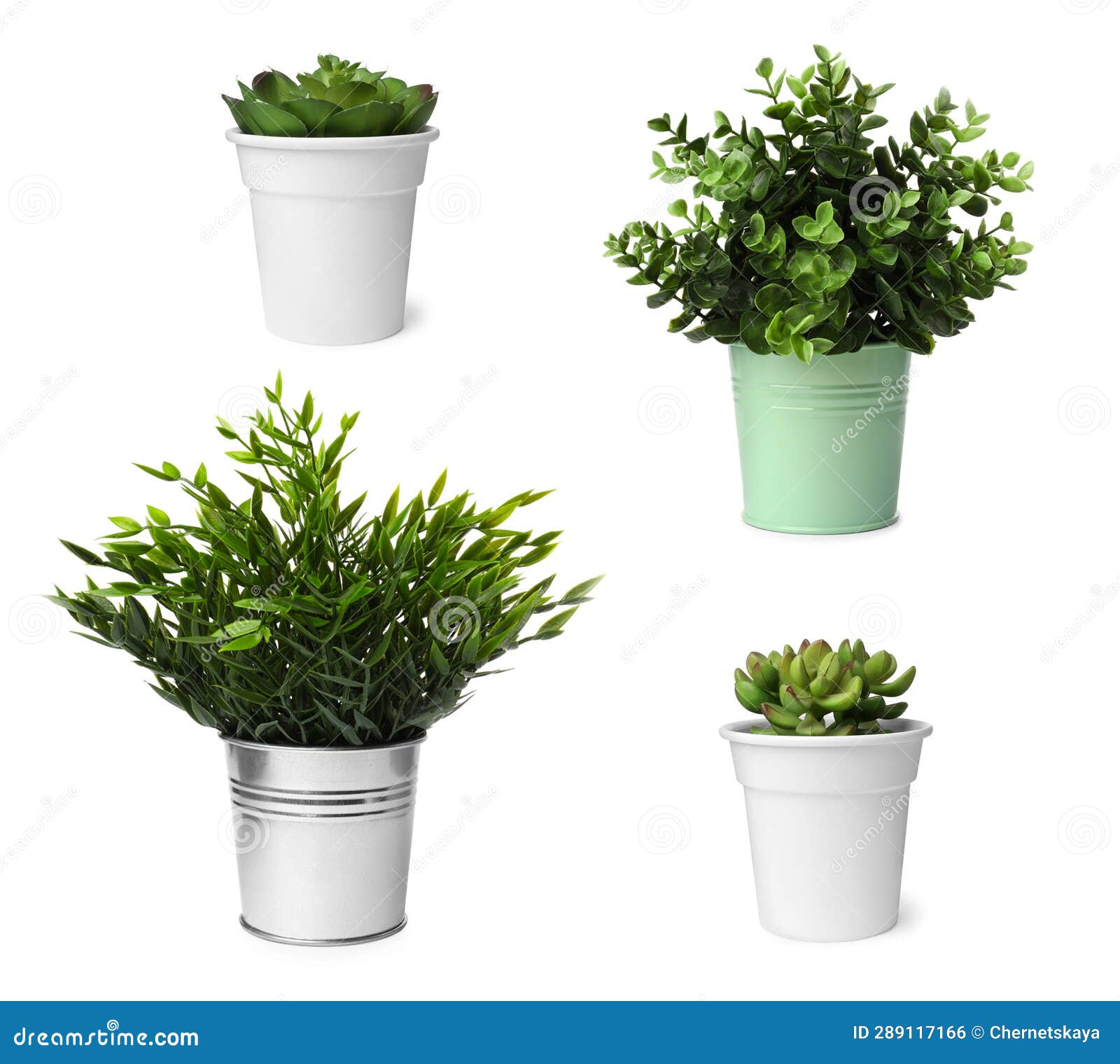 Set of Artificial Plants in Flower Pots Isolated on White Stock Photo
