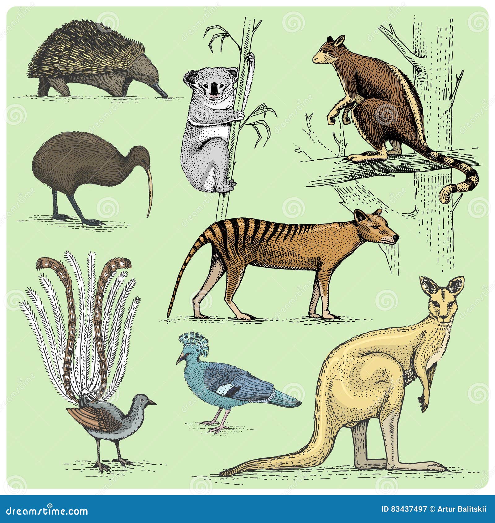 Set of Animals Engraved, Hand Vector Illustration Stock Vector - Illustration of bird: 83437497